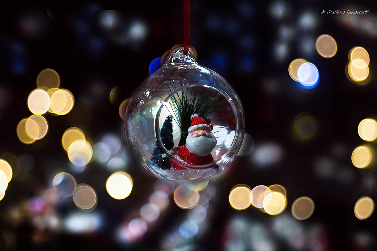 Happy Christmas to all the Juzzini