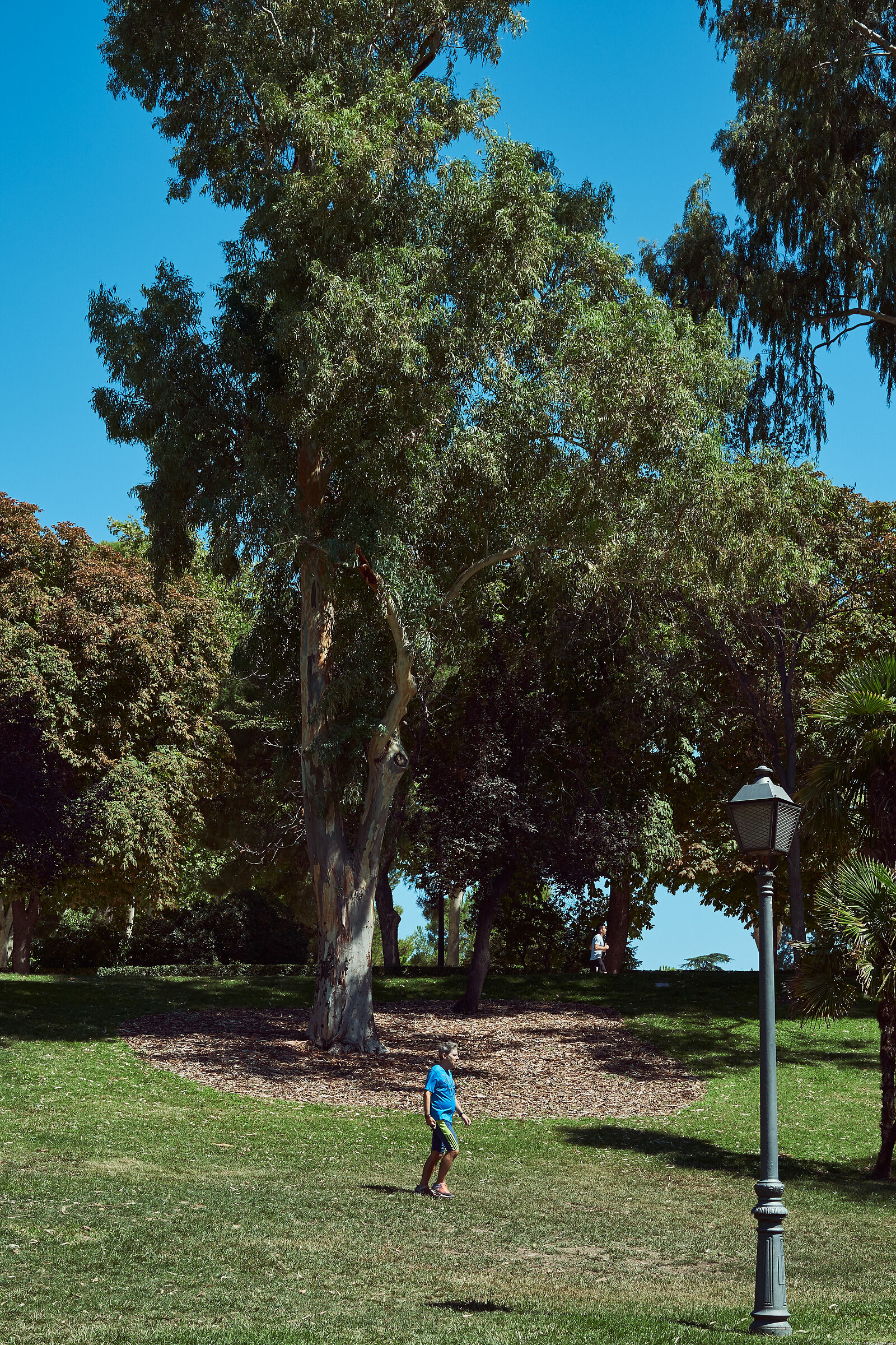 Untitled Photo
