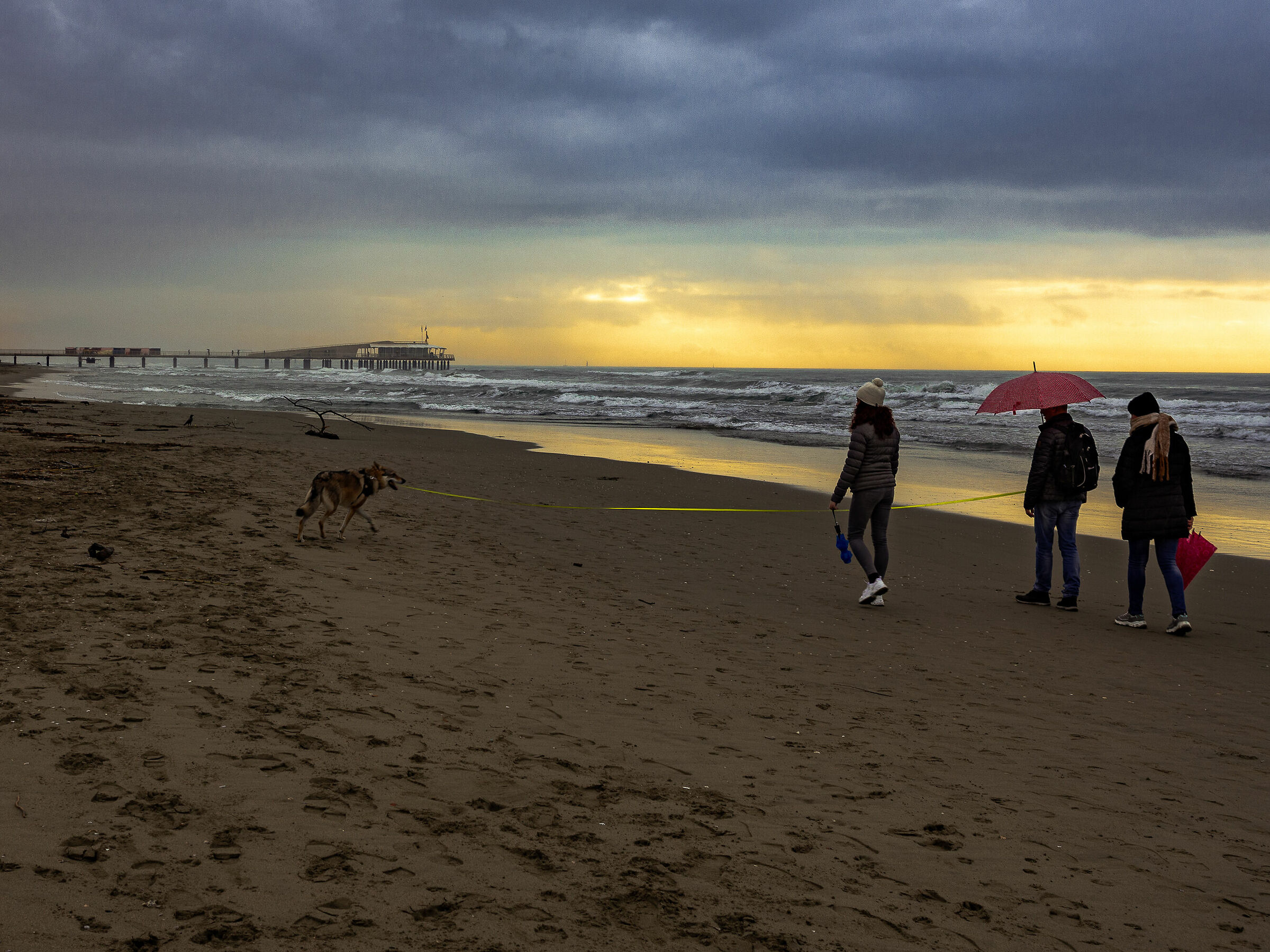 The rain does not tire.... until it rains!