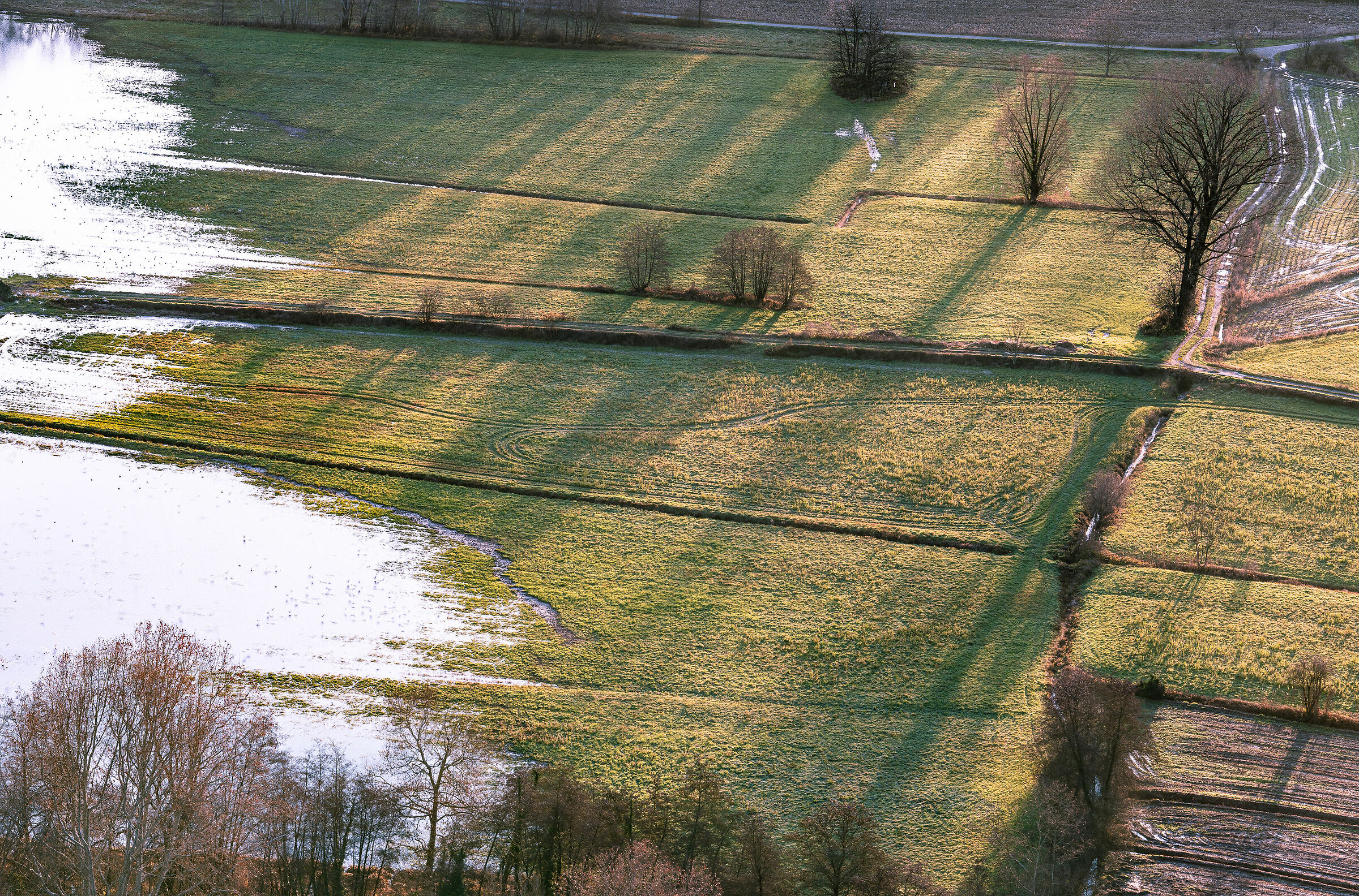 Come la tela di un artista