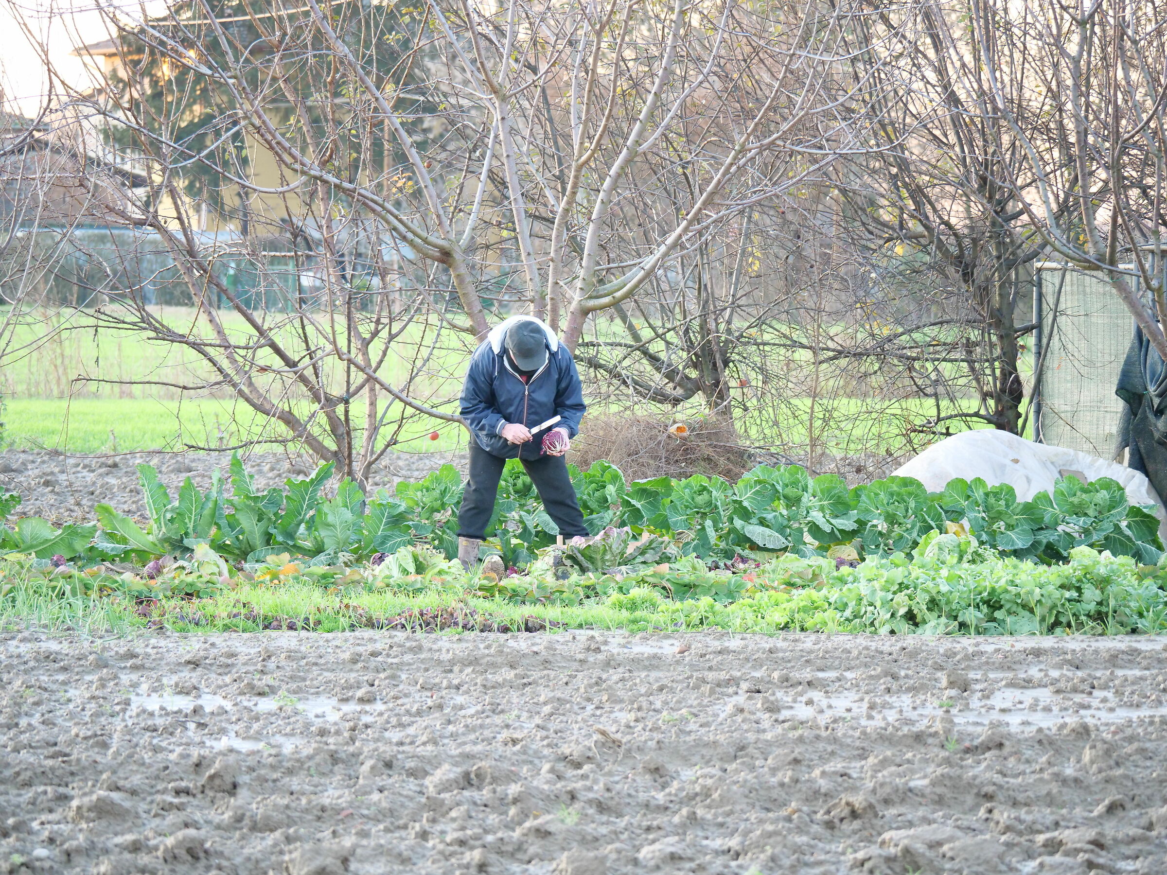 Dopo la pioggia si torna al lavoro