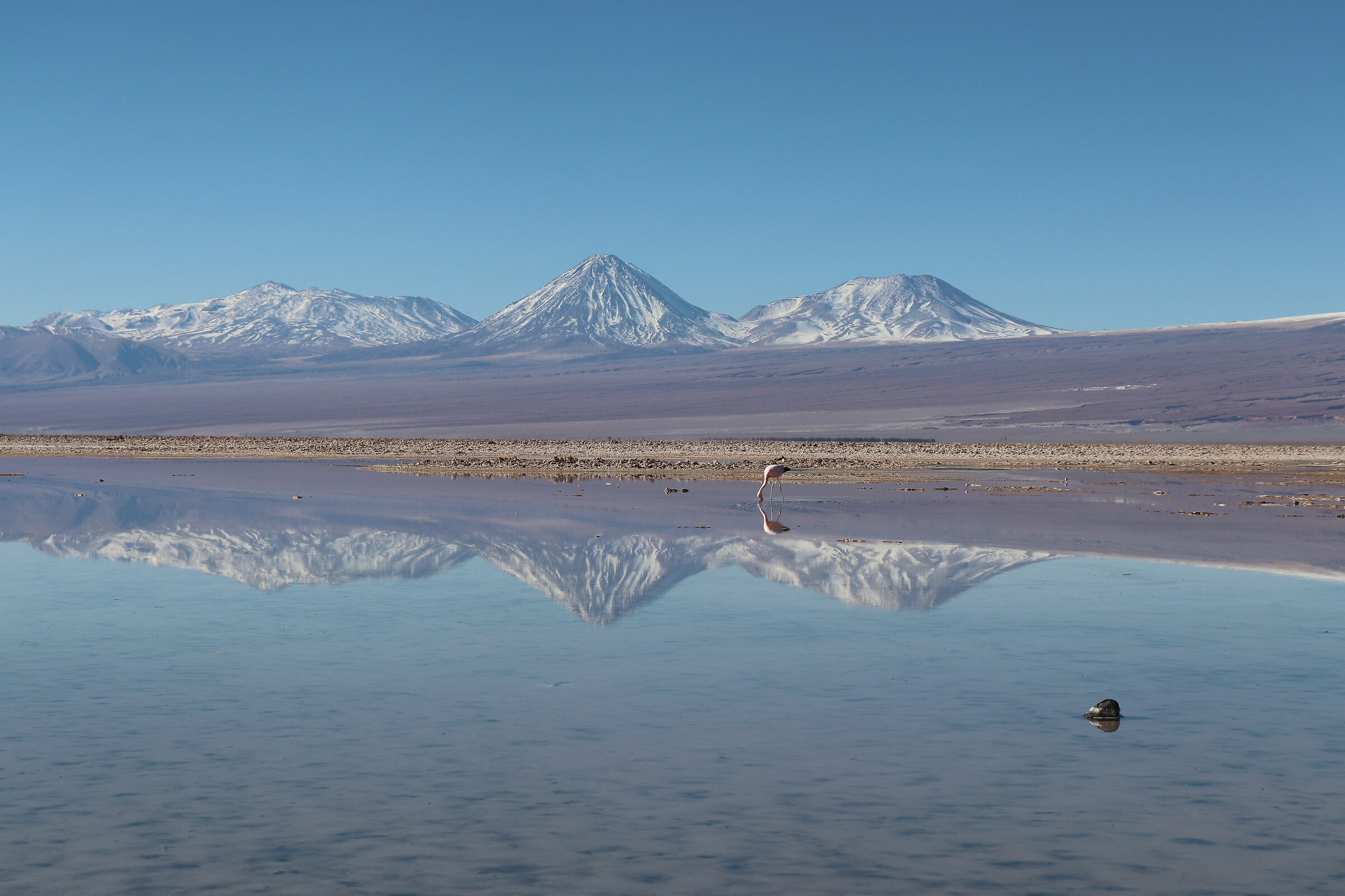 Riflessi di un mondo meraviglioso (Laguna Chaxa)