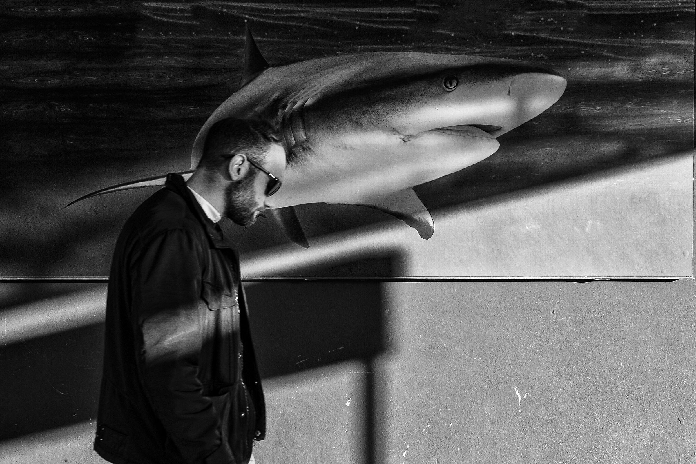 Mindset Metamorphosis