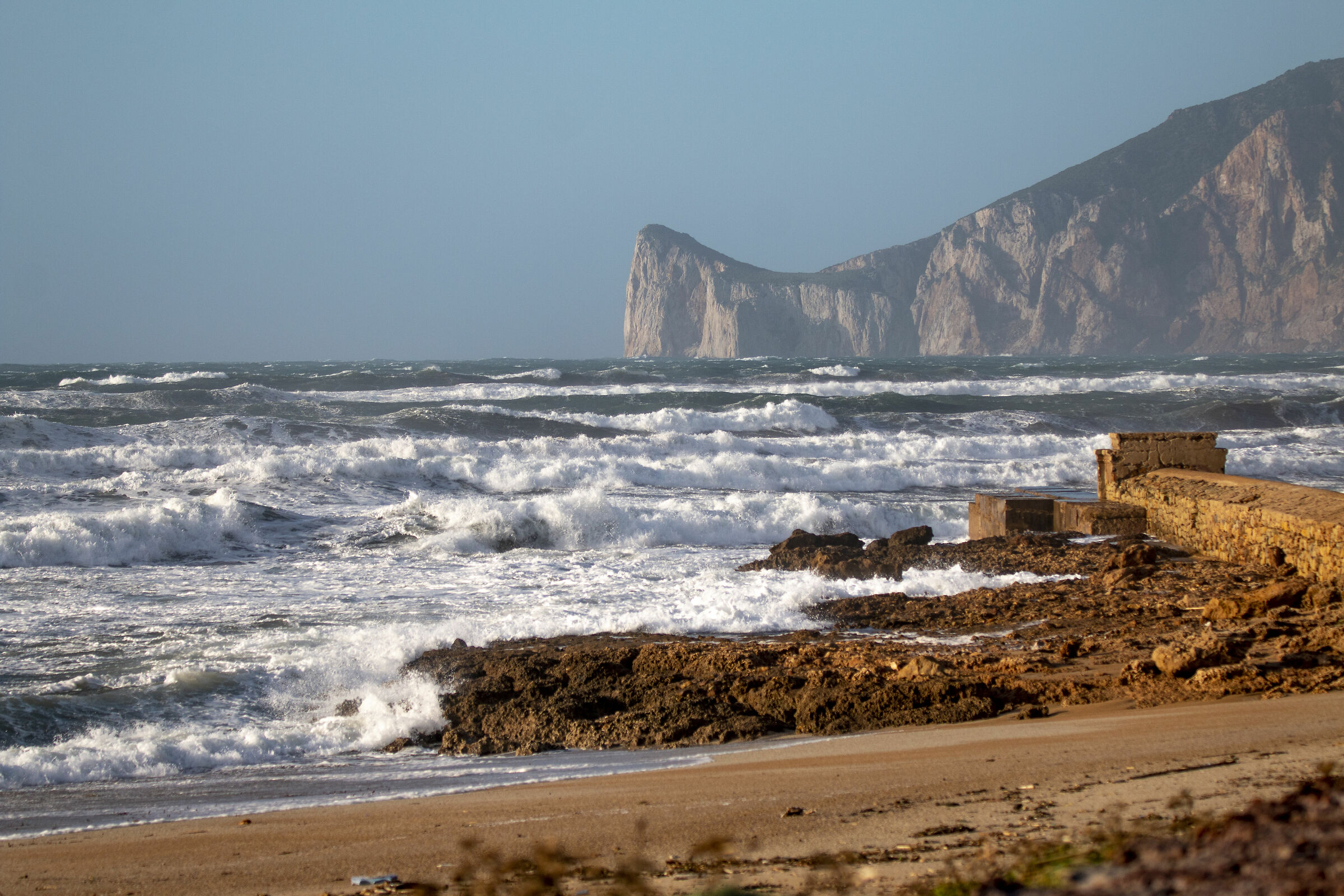Sua maestà IL maestrale