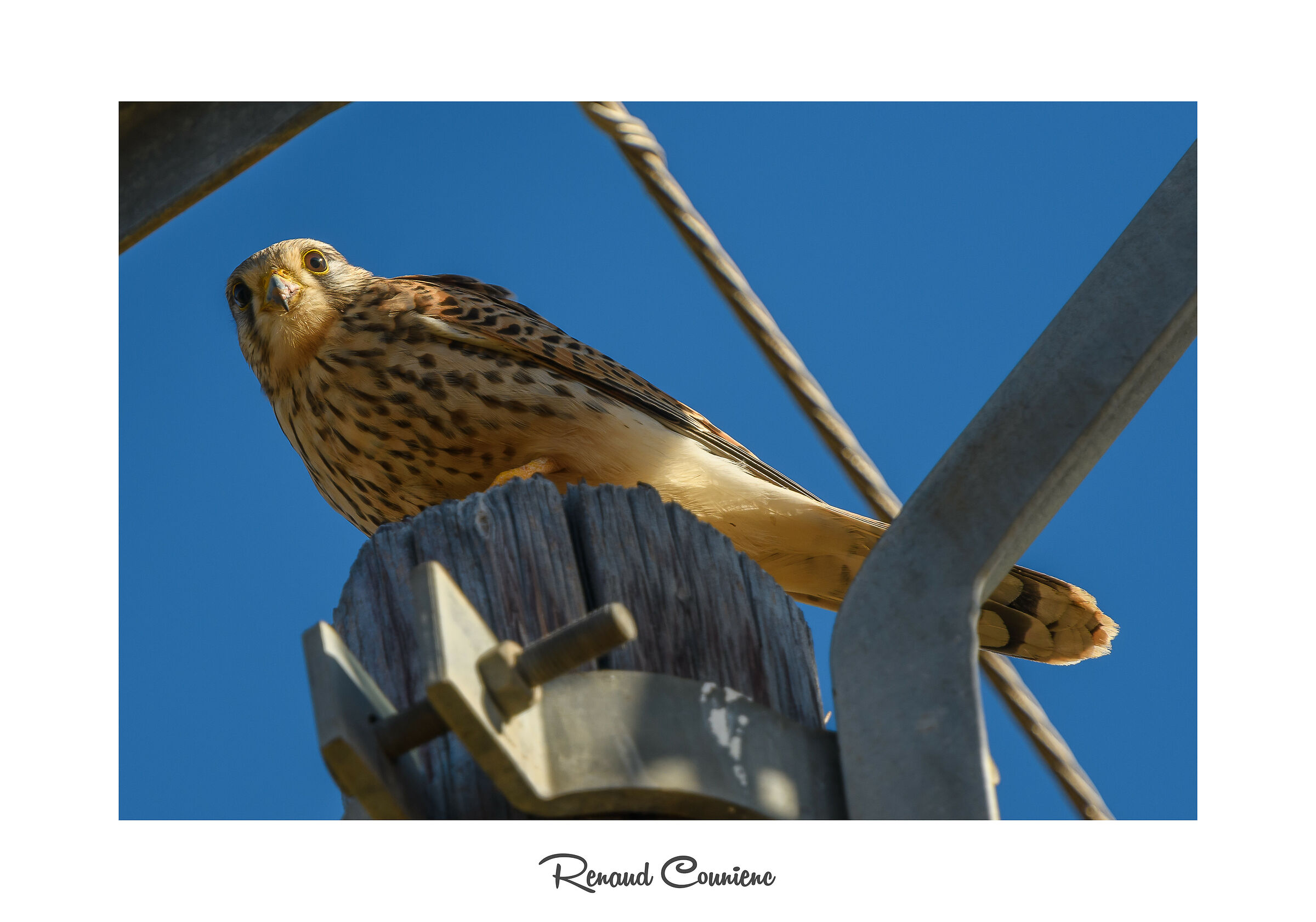 I talk to her, she listens to me ;)