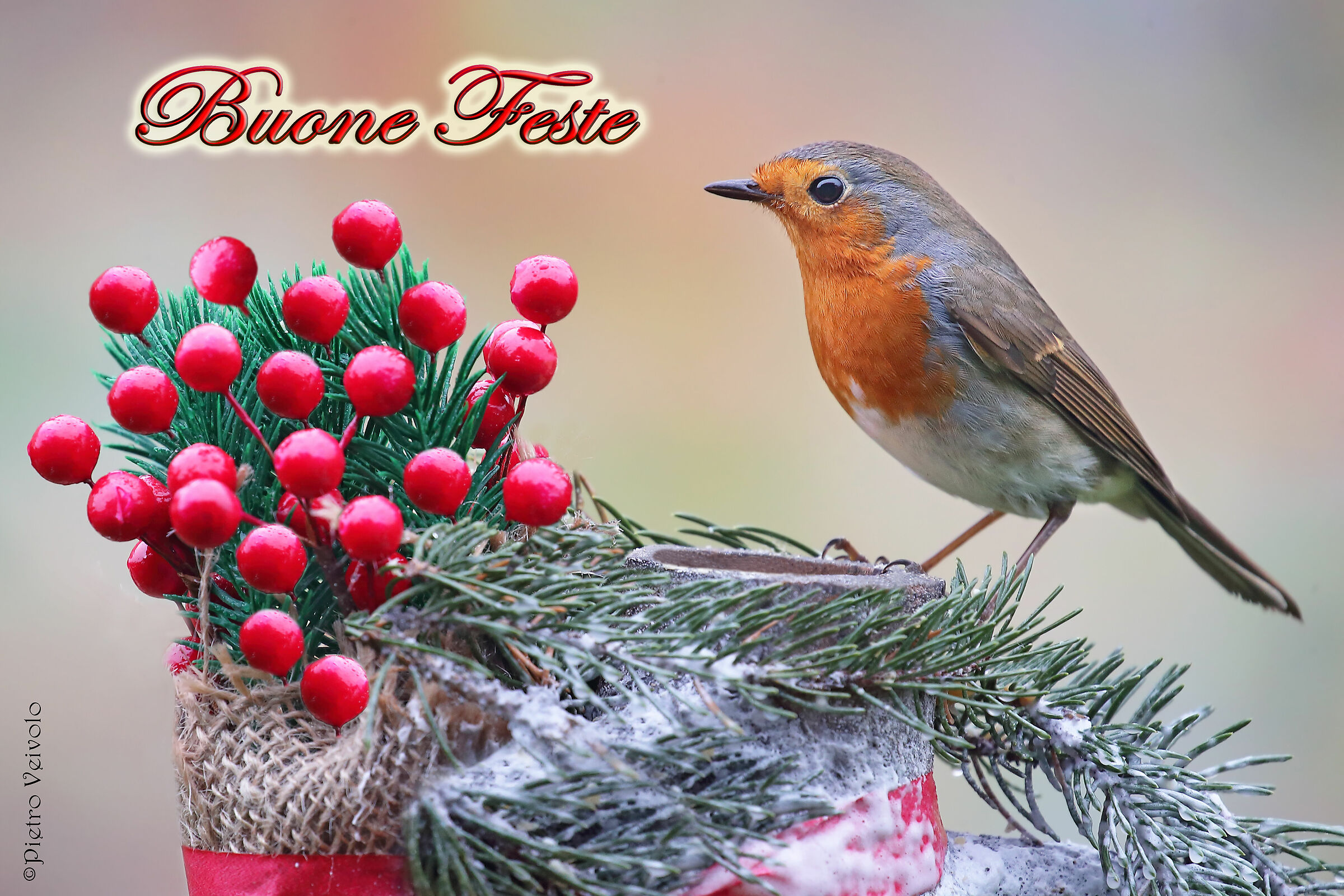 Buone feste