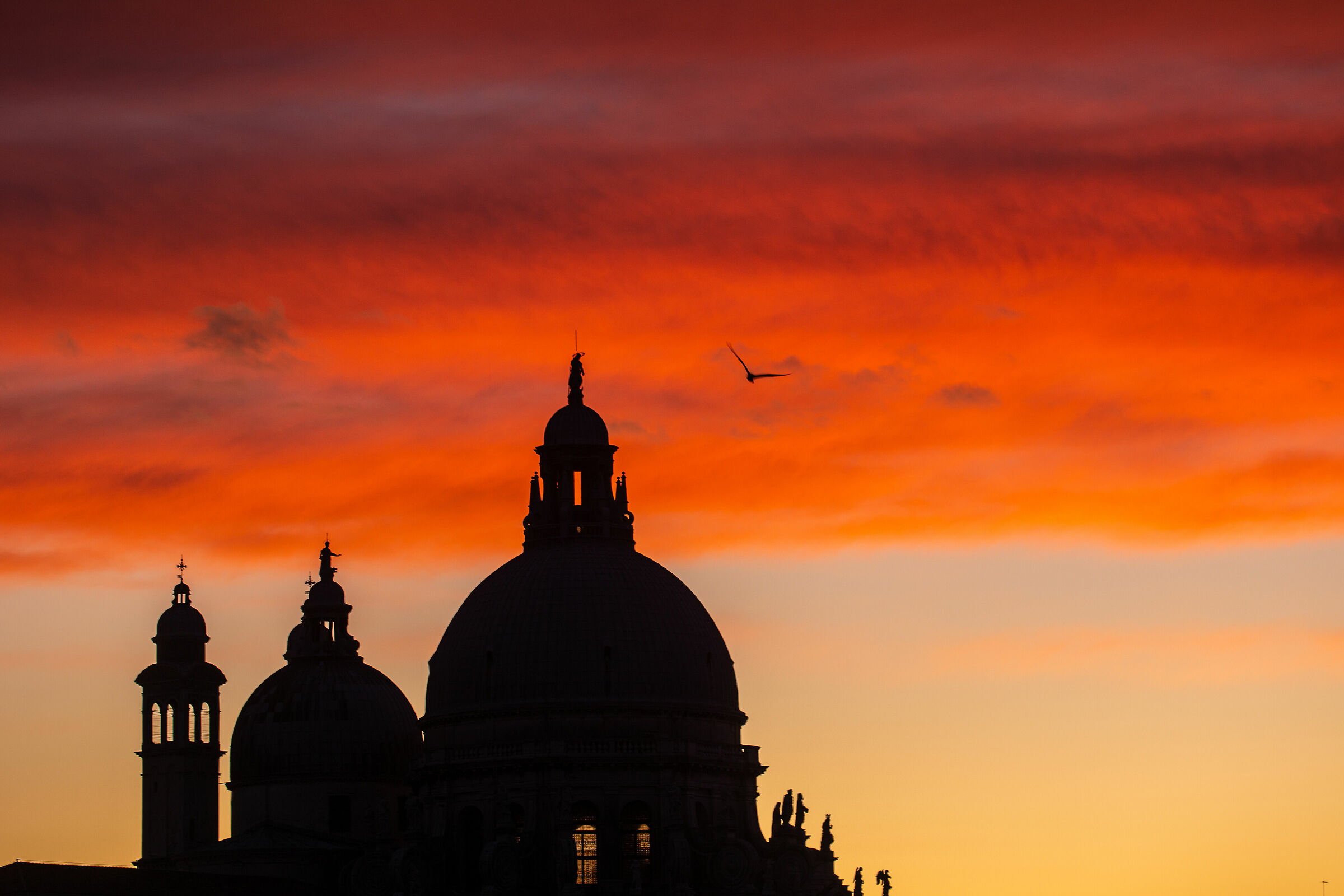 Domani, domani e poi domani .....