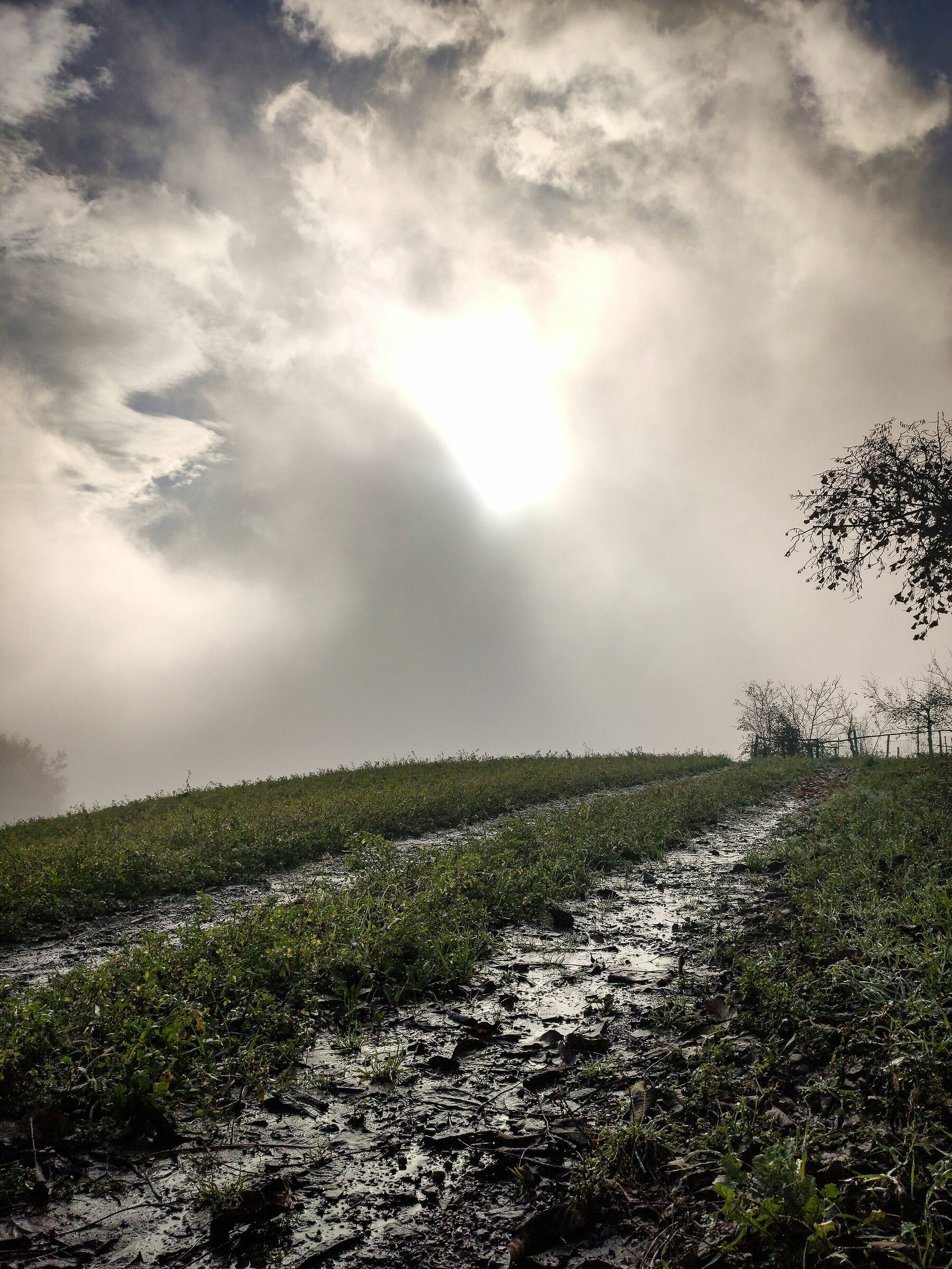 Orietur in tenebris lux tua