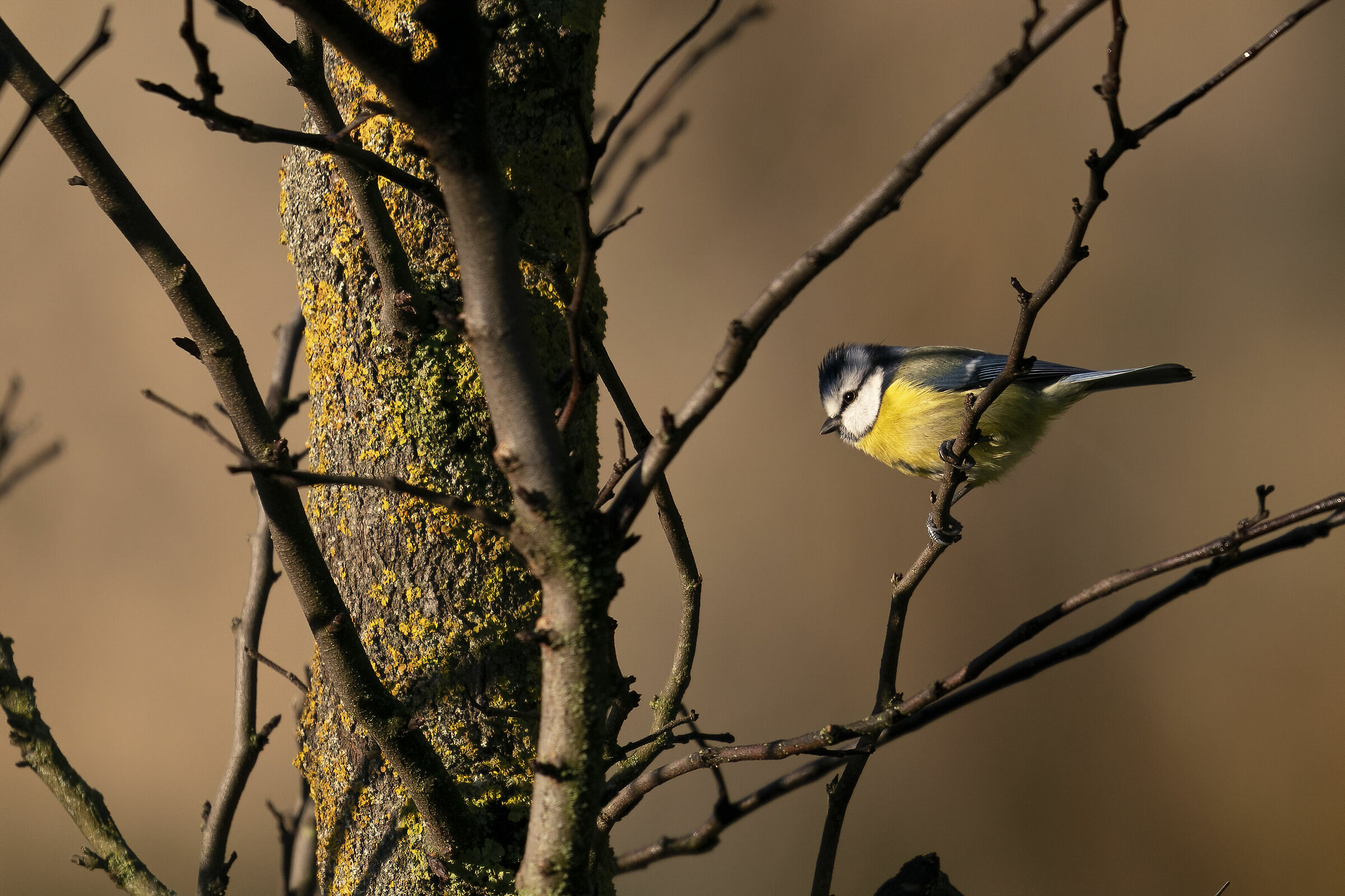 Roma Montesacro Talenti Park