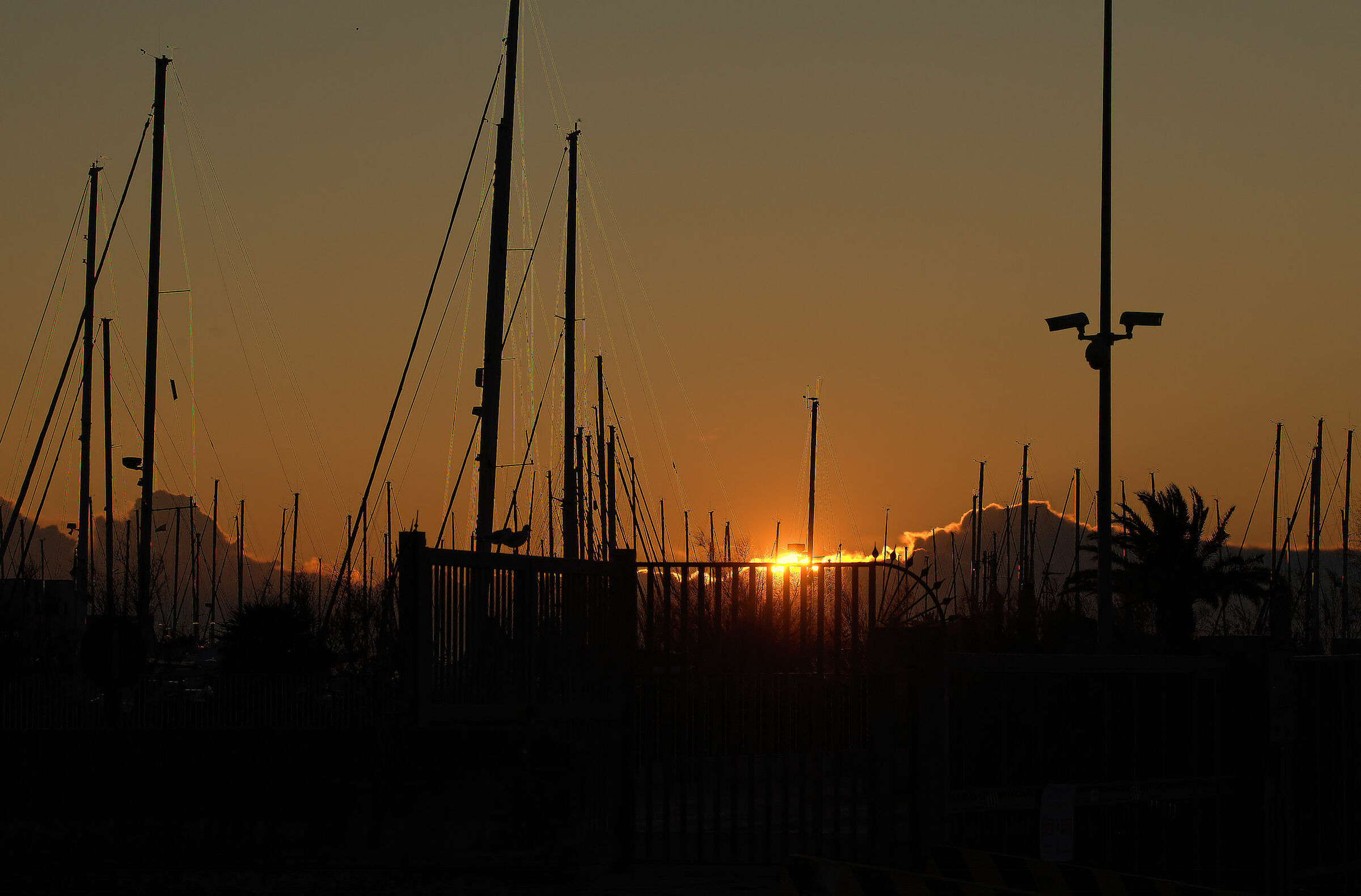 Port of Pescara