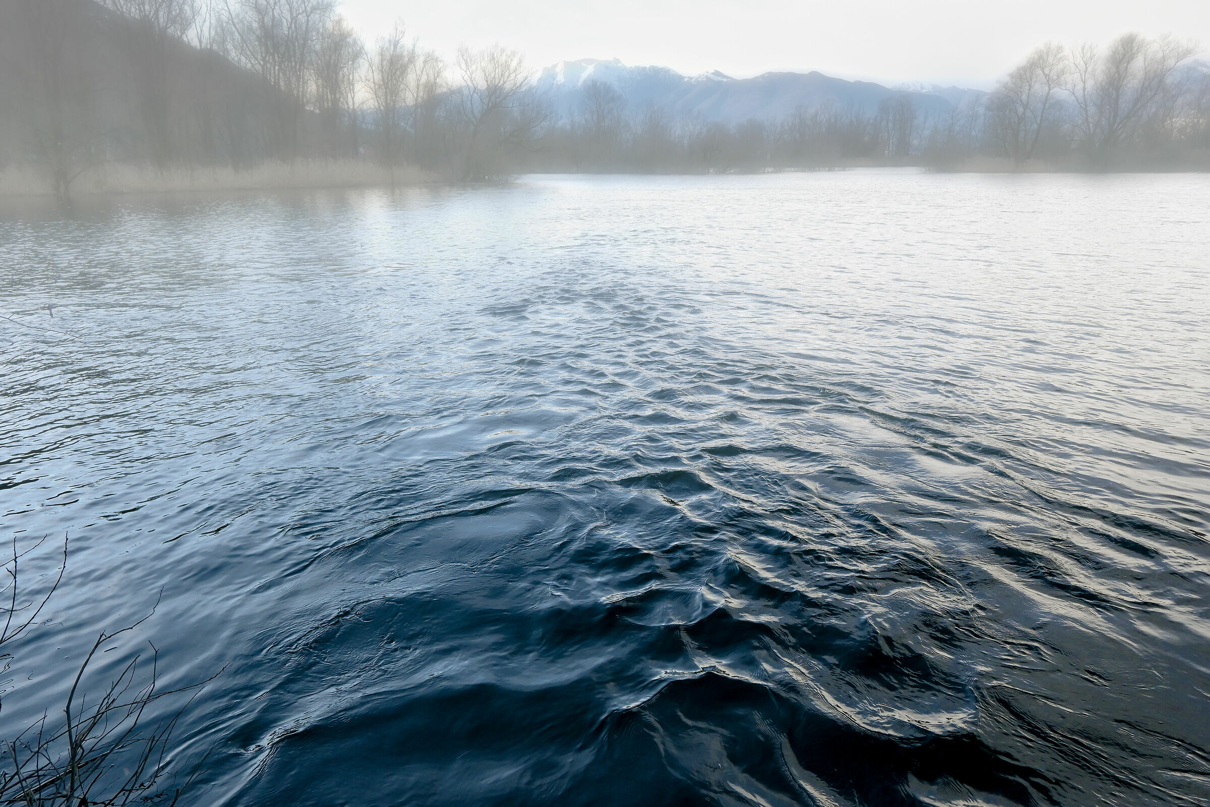 Bolle di Magadino d'inverno