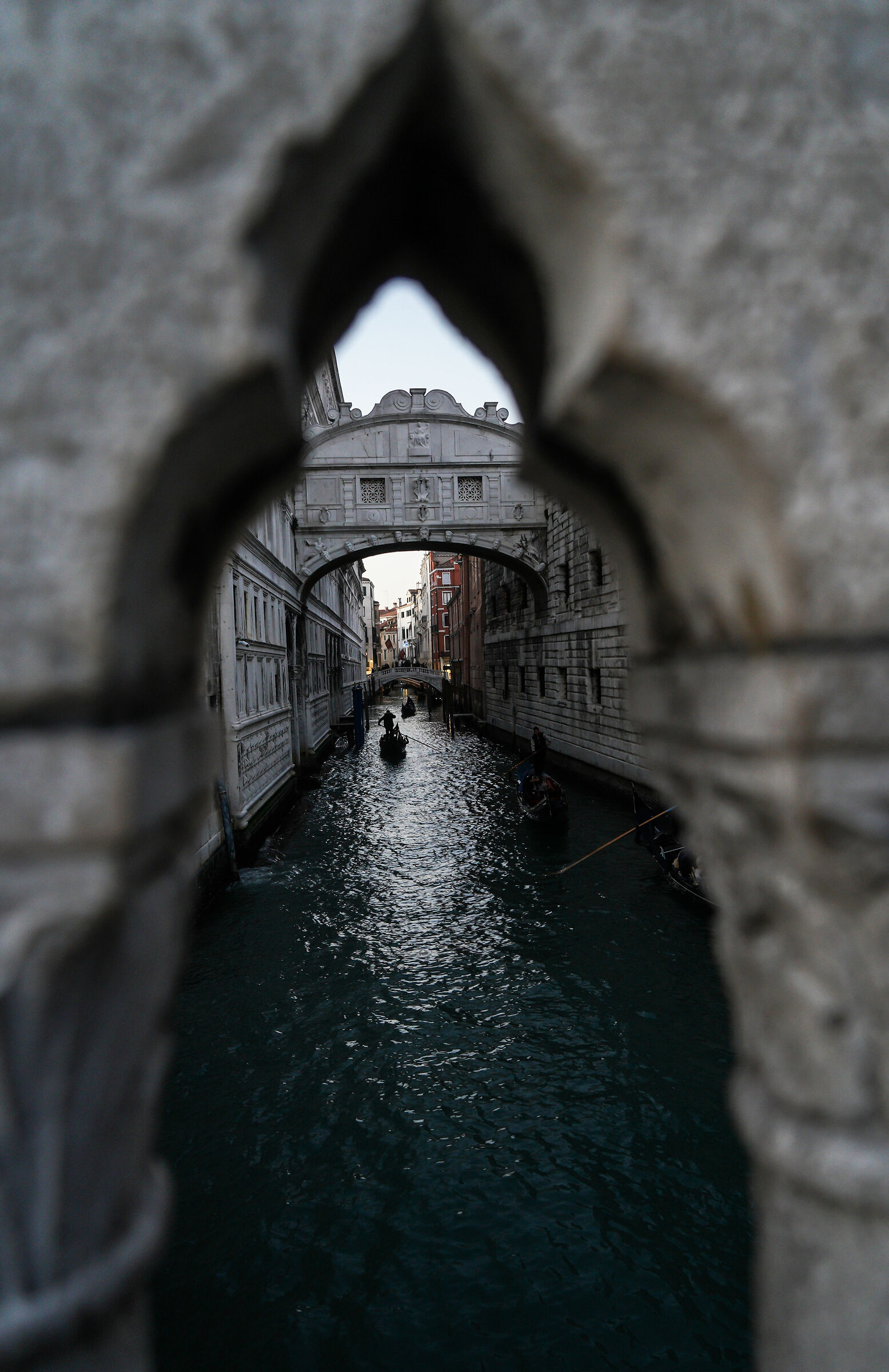 Venezia