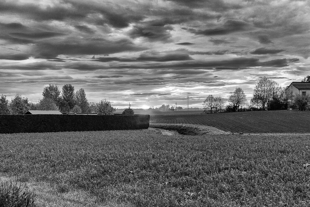 Untitled Photo