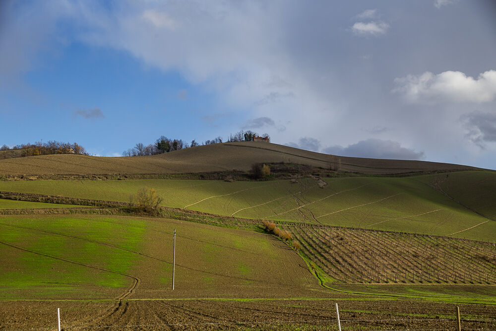 Untitled Photo