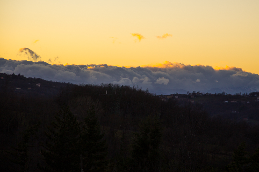 Untitled Photo