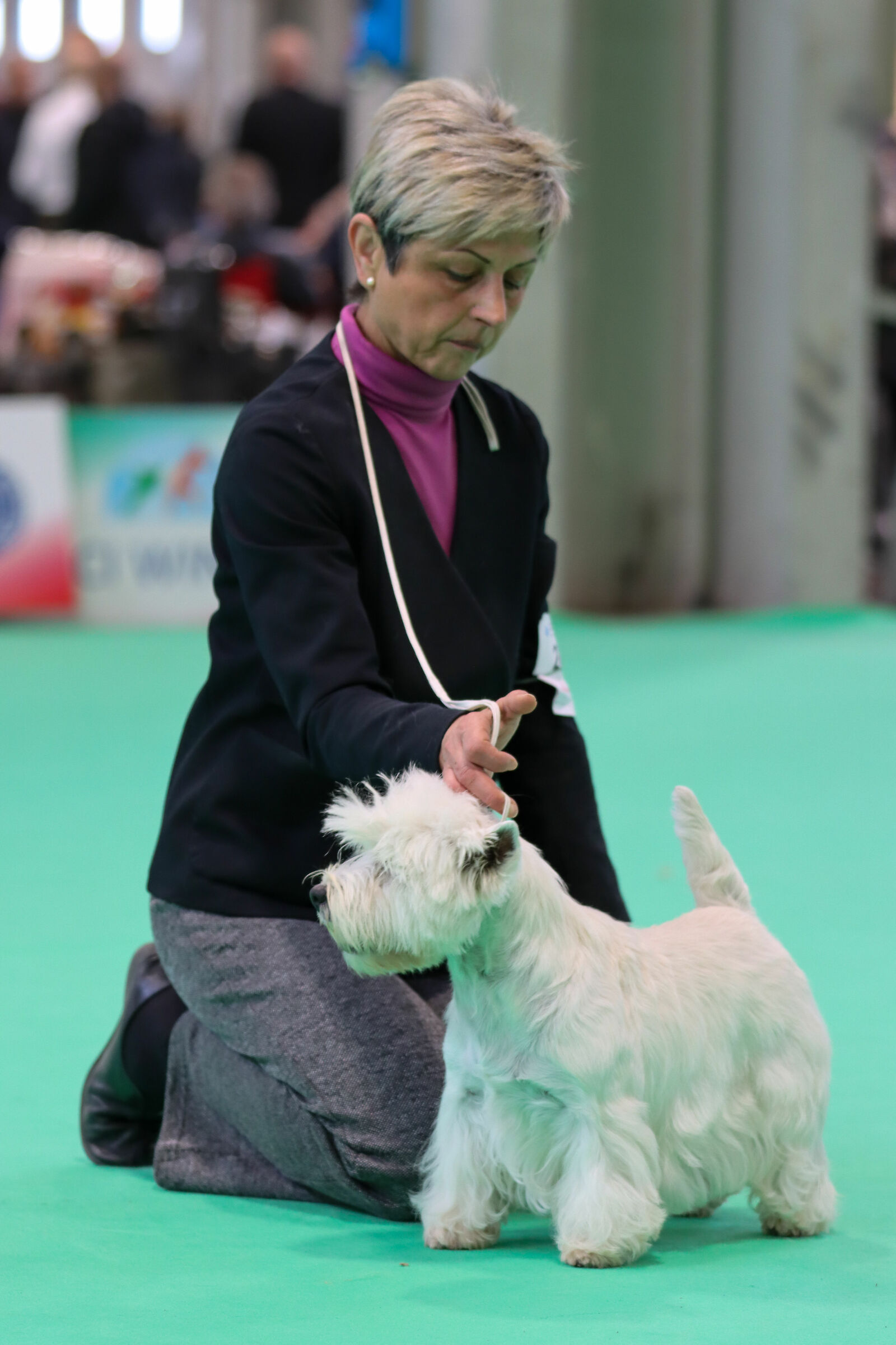 Enci Winner 2019 - Verona