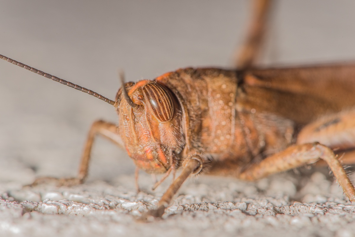 la prima foto col 105