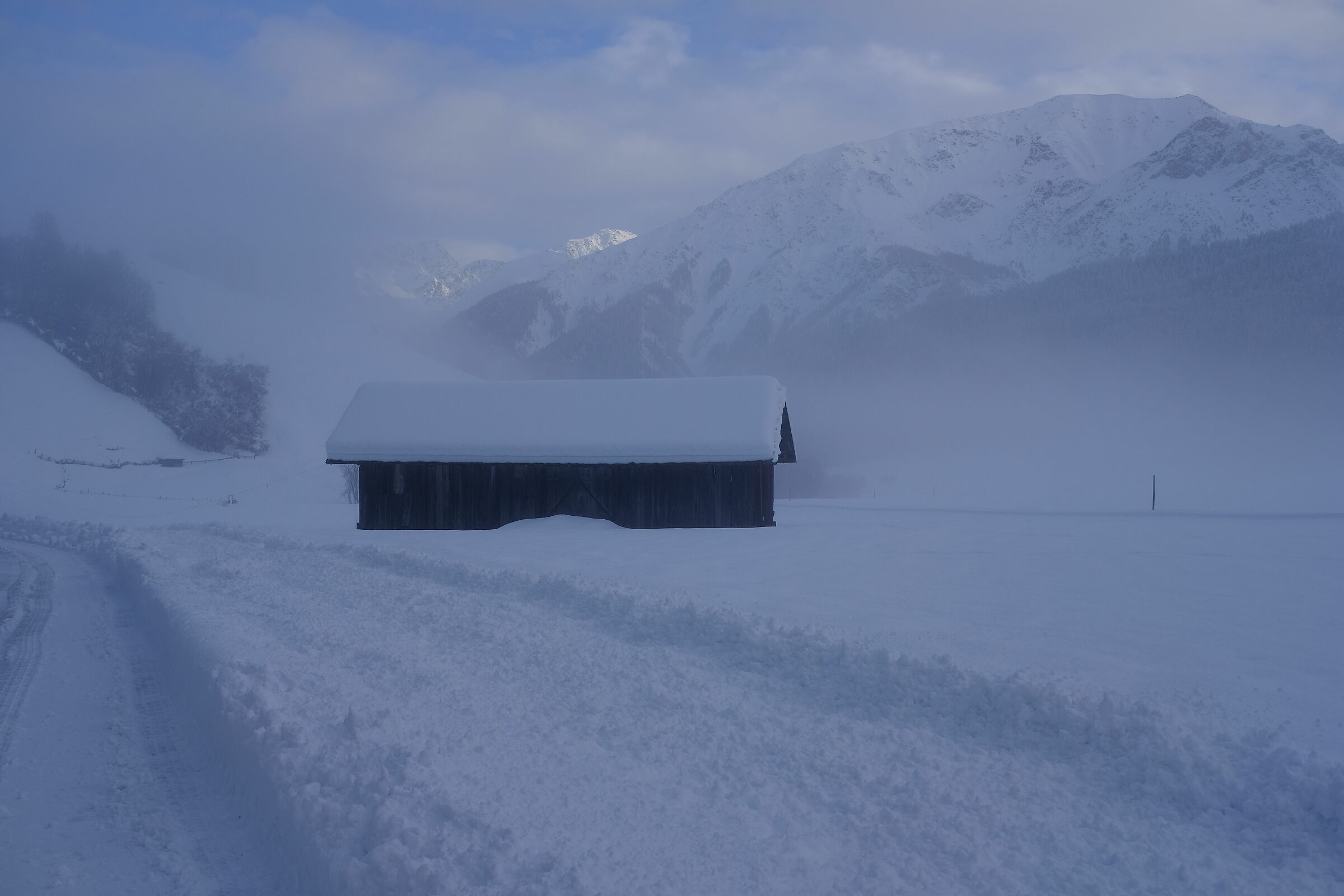 Strong winter