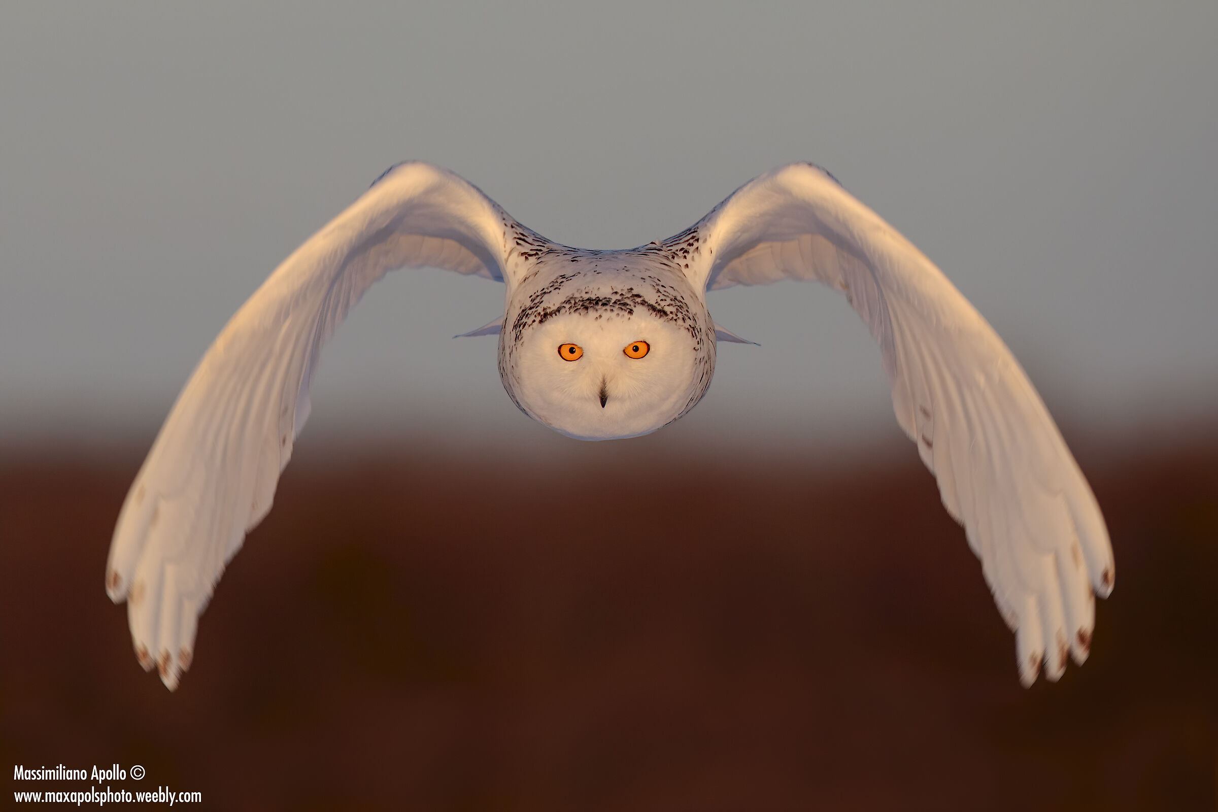 Occhi negli occhi...