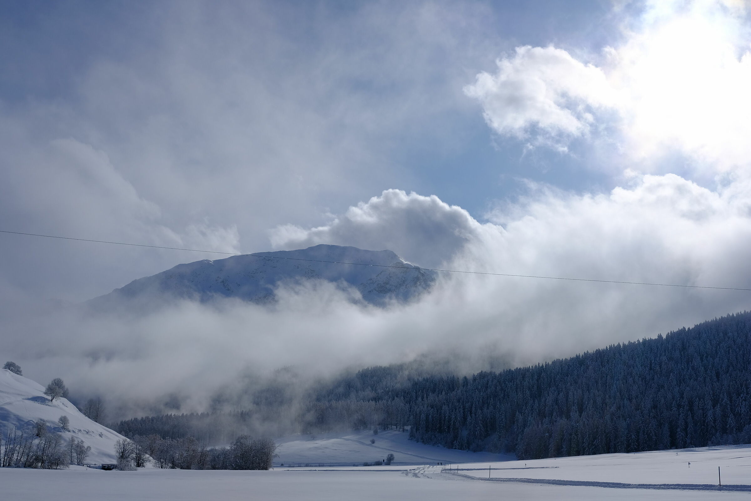 Strong winter ii