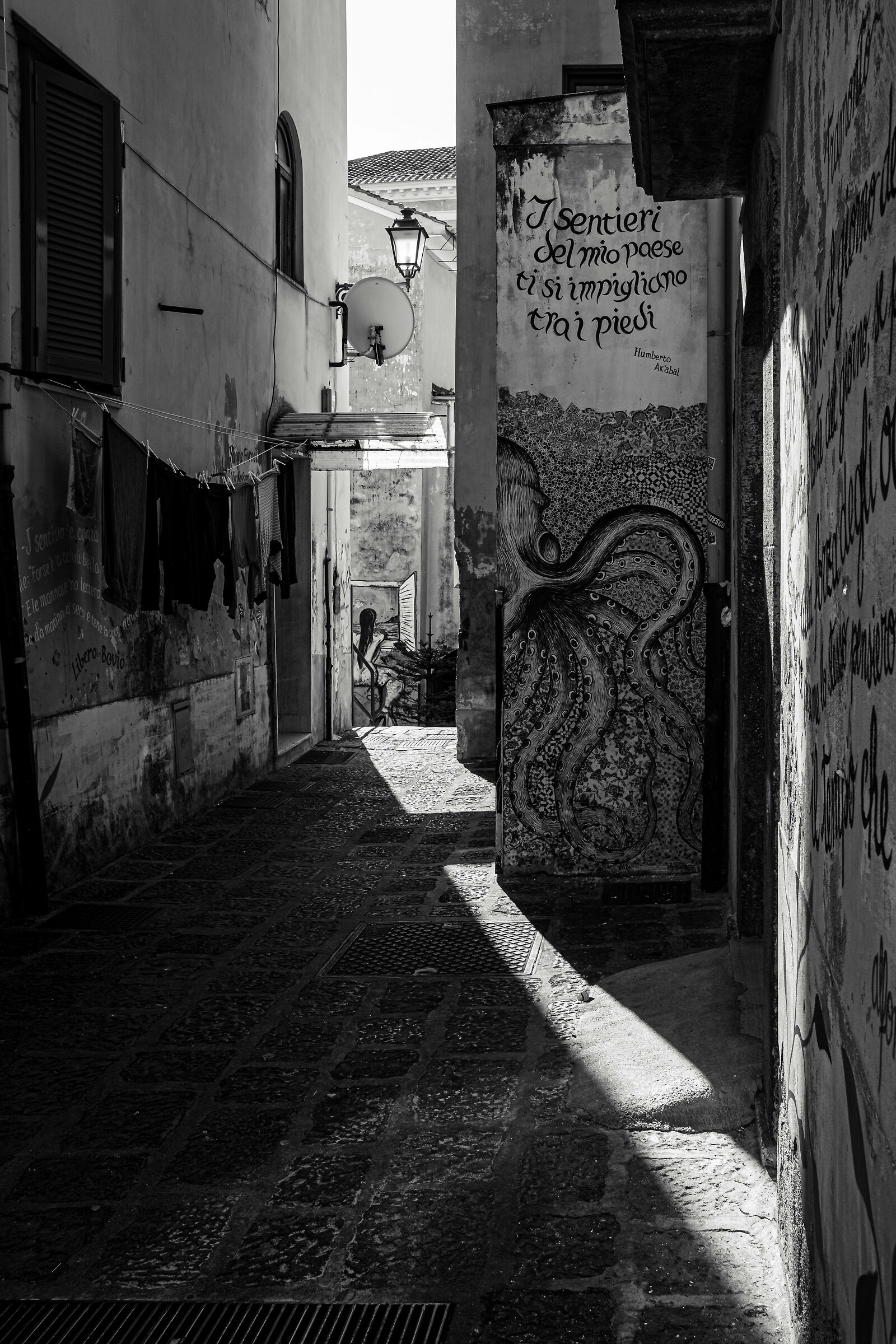 The trails of my country