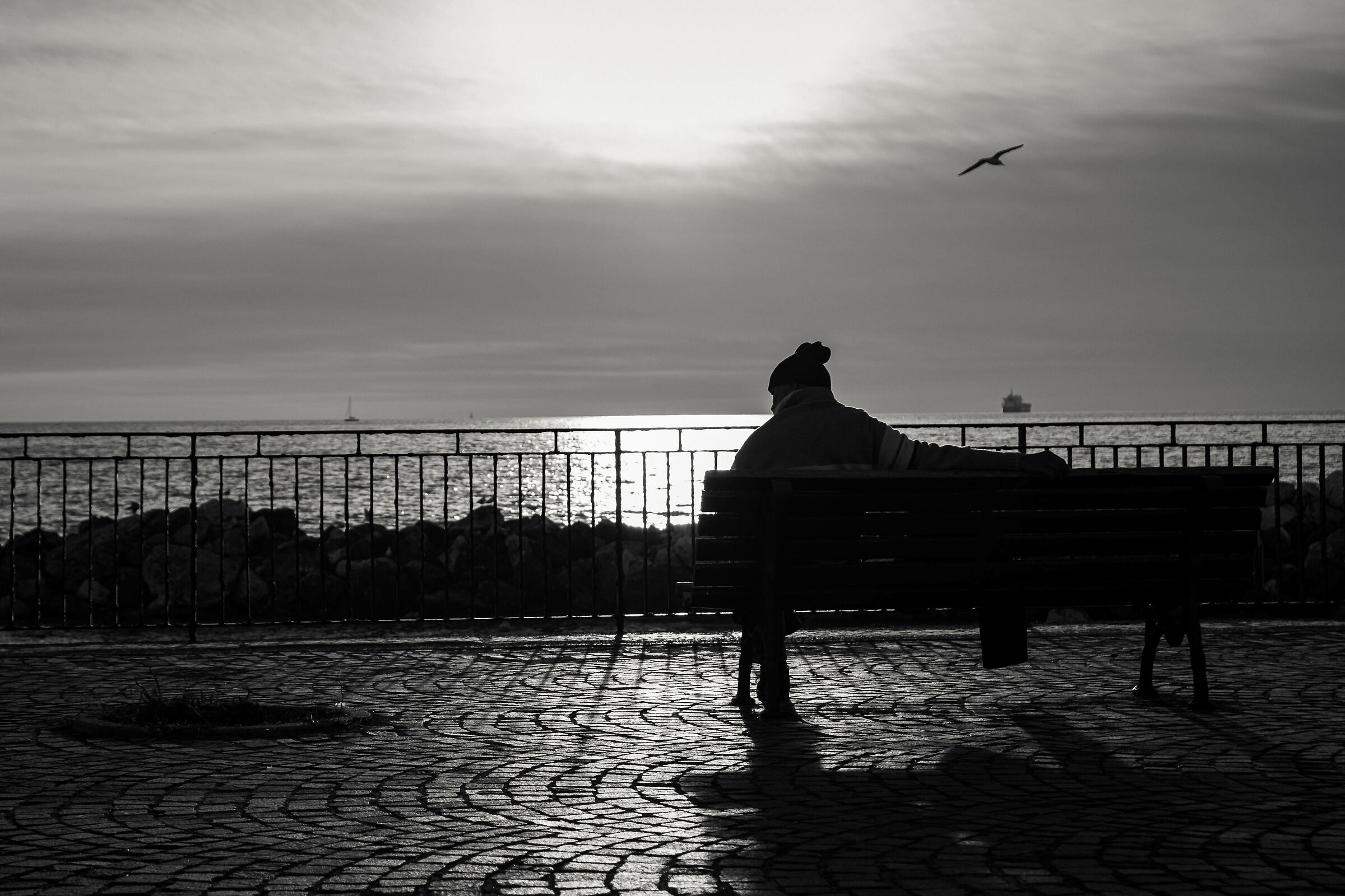 The movie of the day