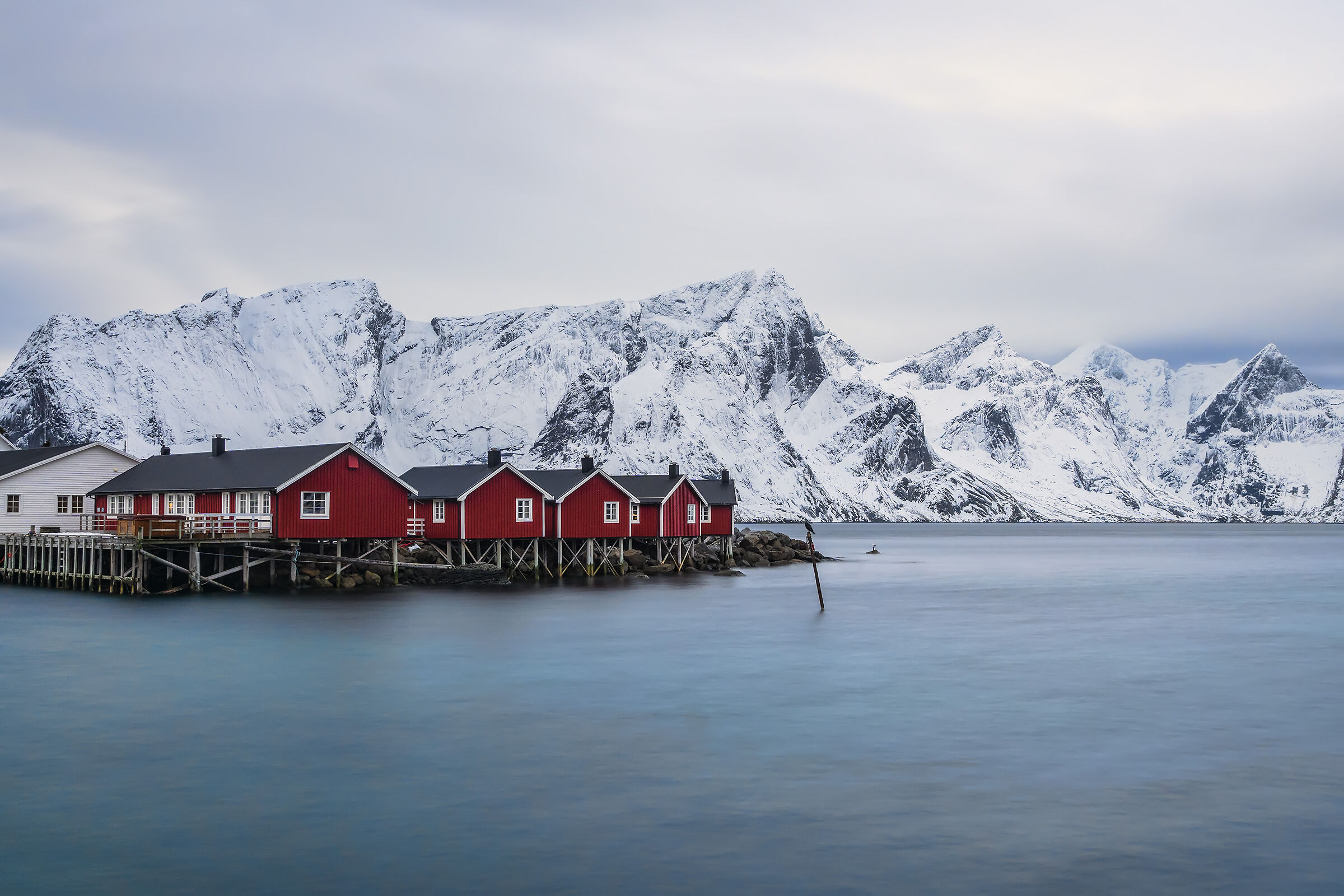 Red houses in Lofoten