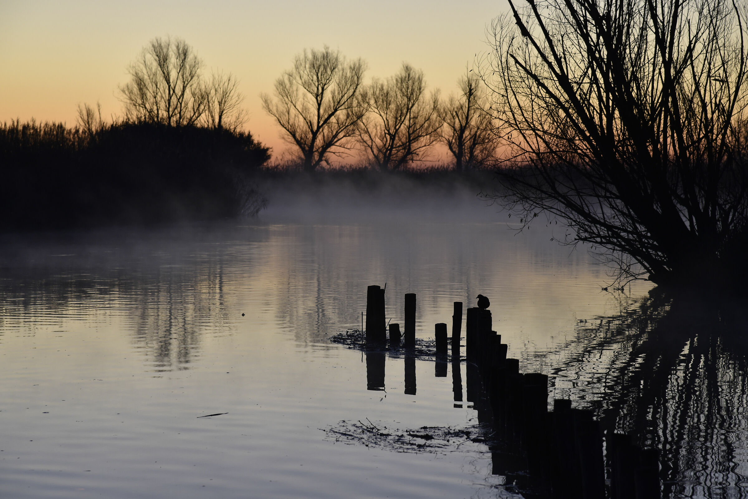 The Mincio and the Fog