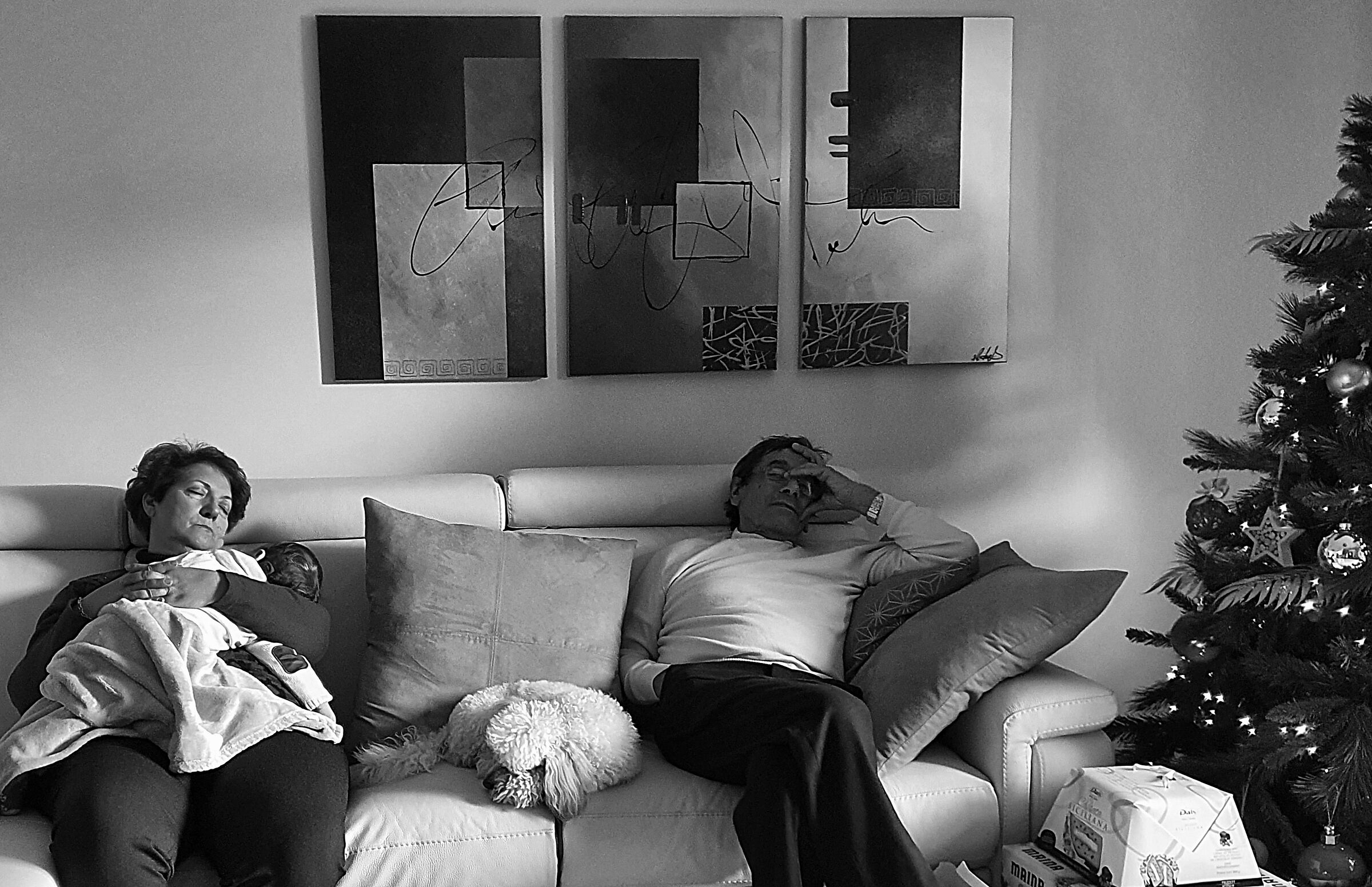 La quiete dopo il pranzo natalizio