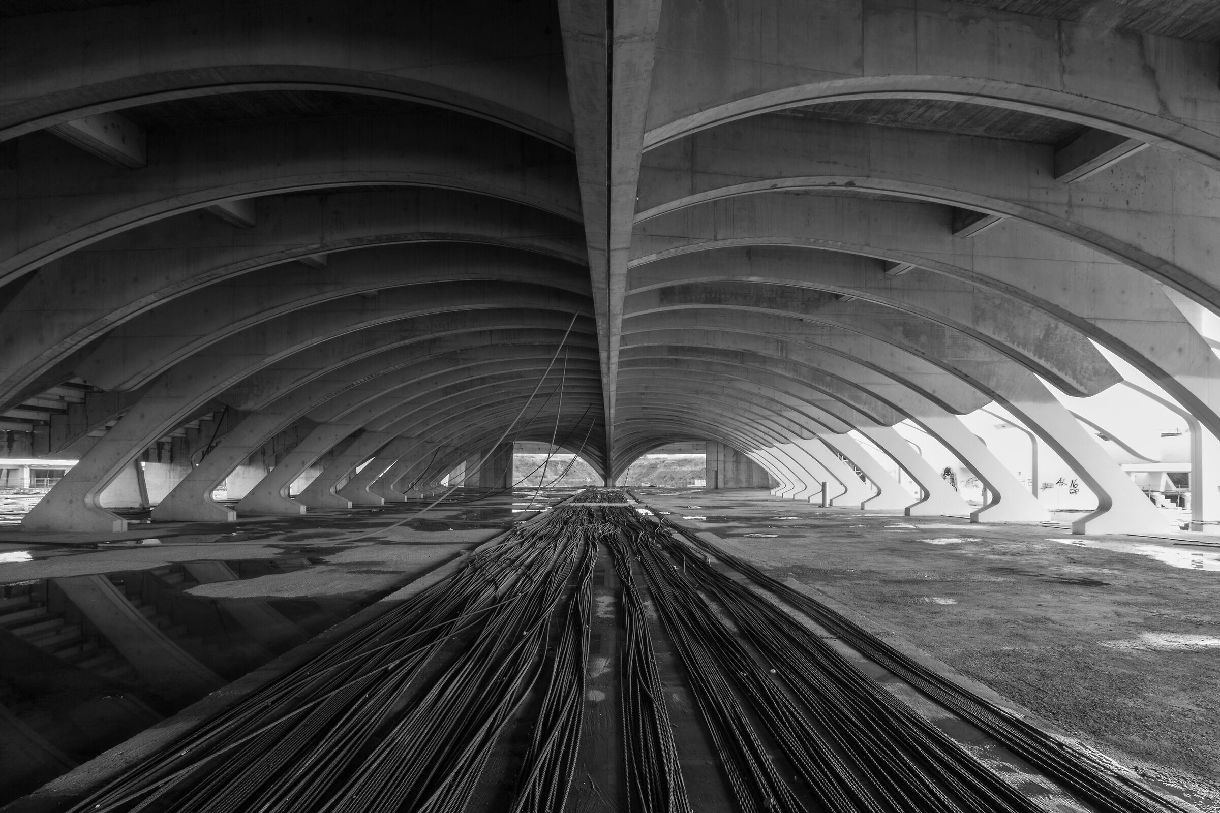 In the belly of the whale 1