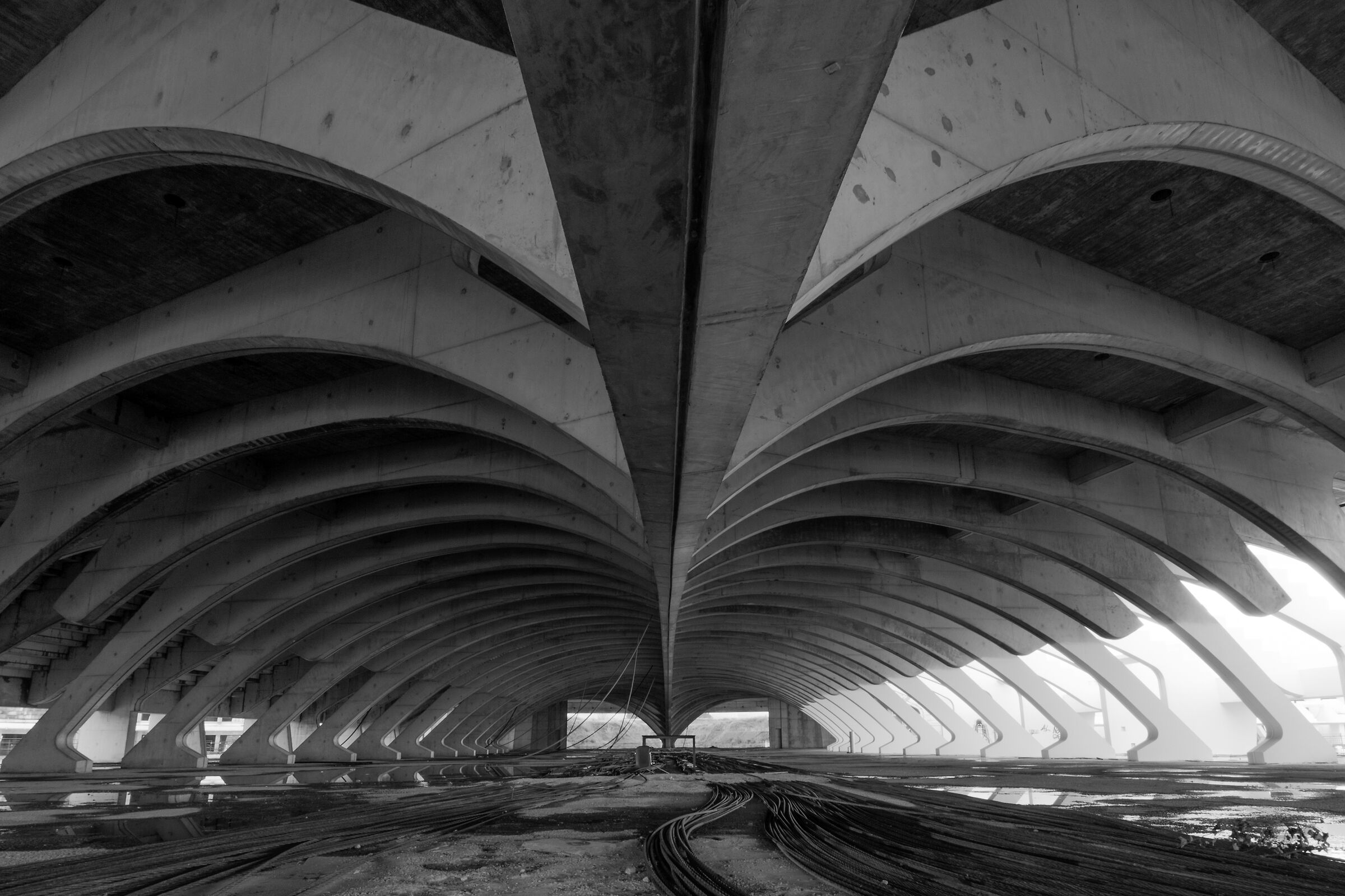 In the belly of the whale 2