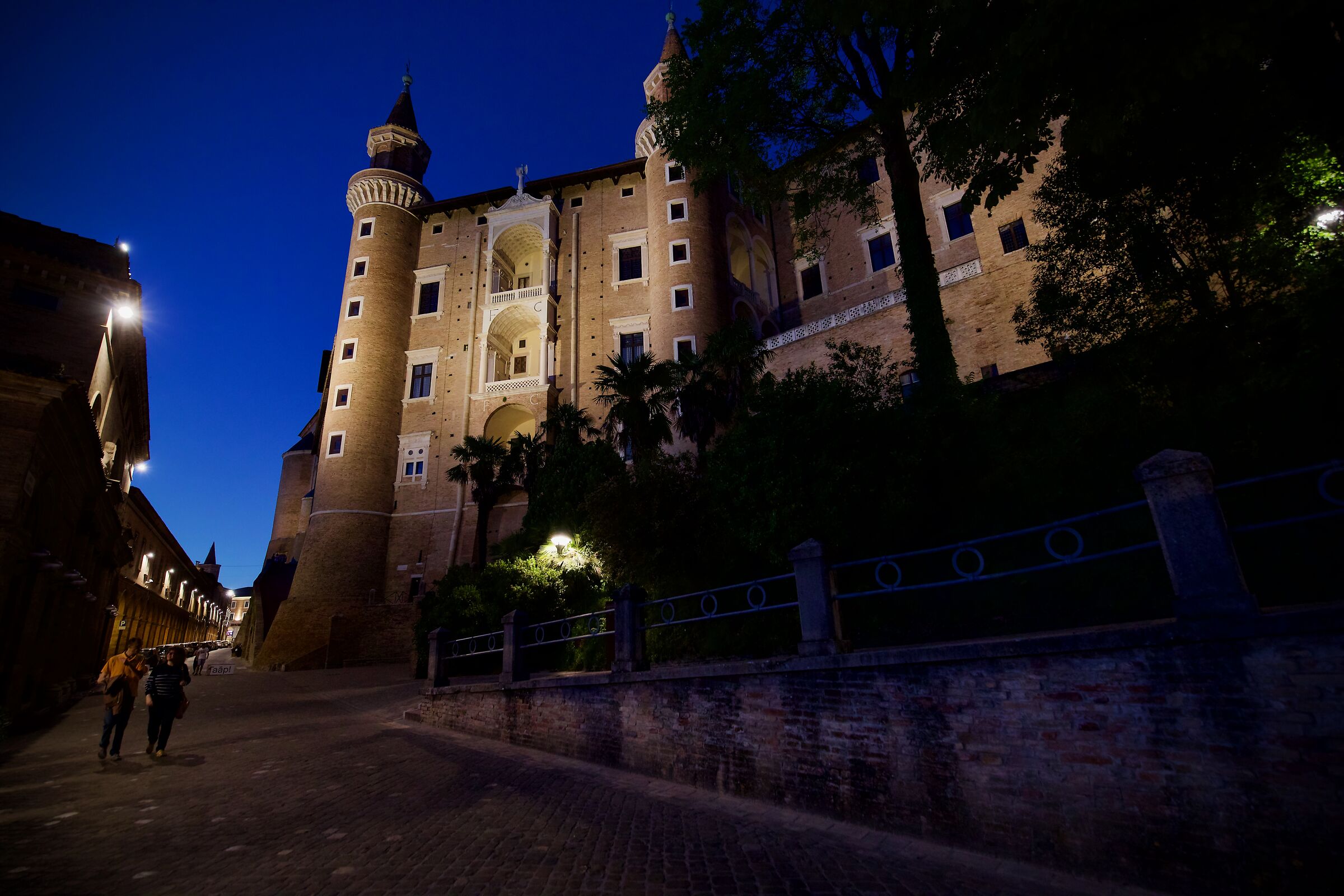 Urbino. Duke's Palace