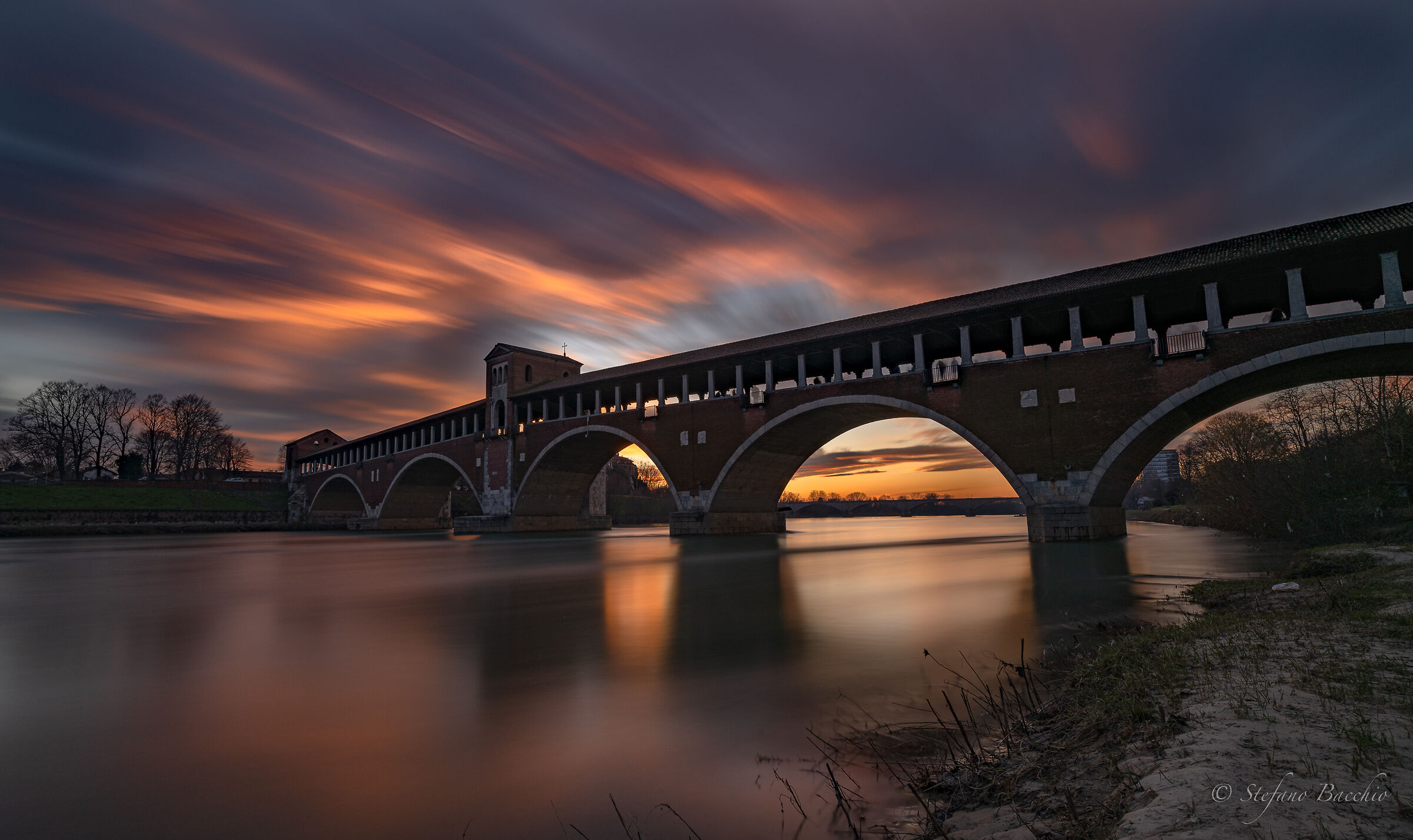 Pavia