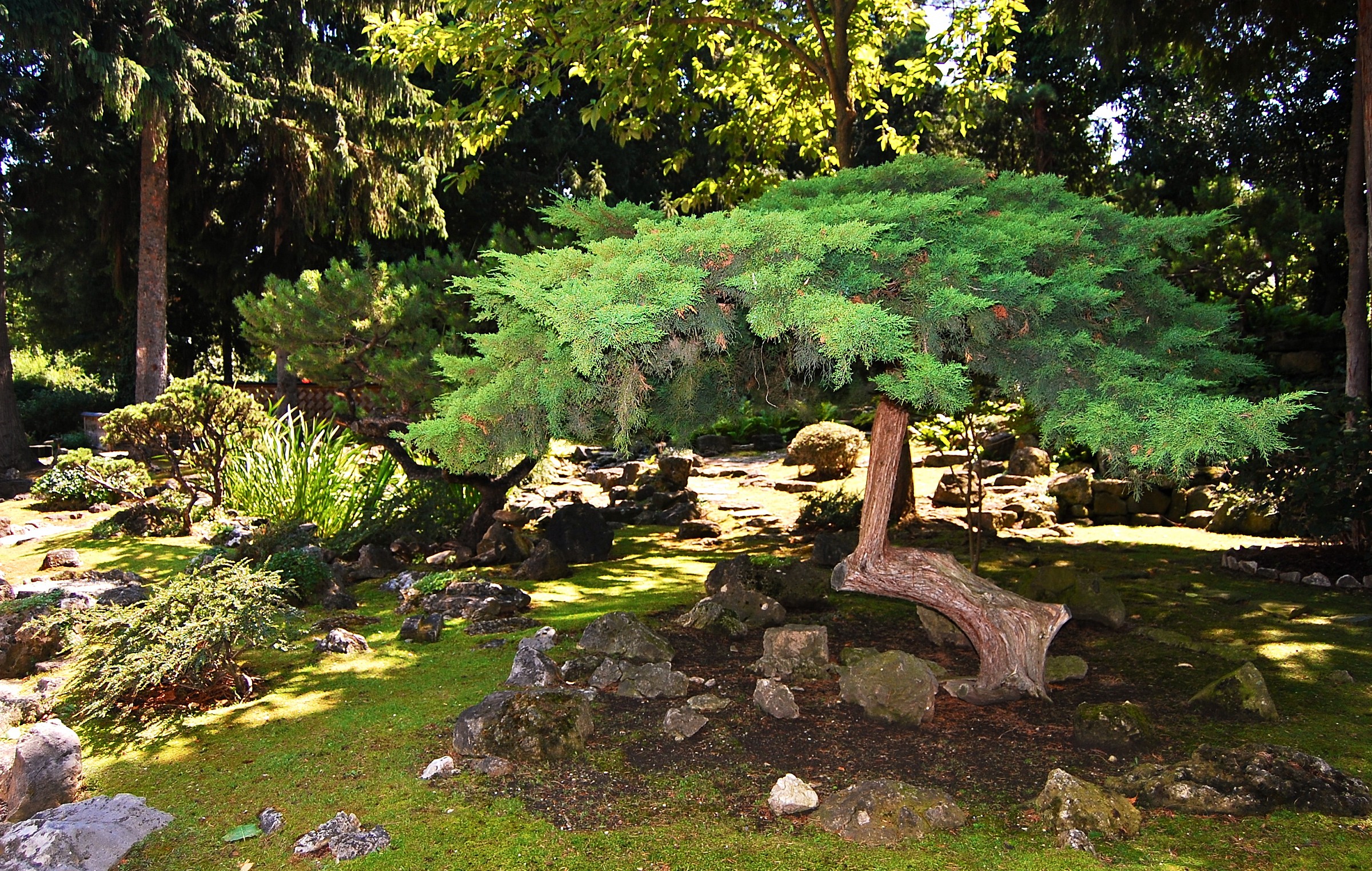Japanese Garden
