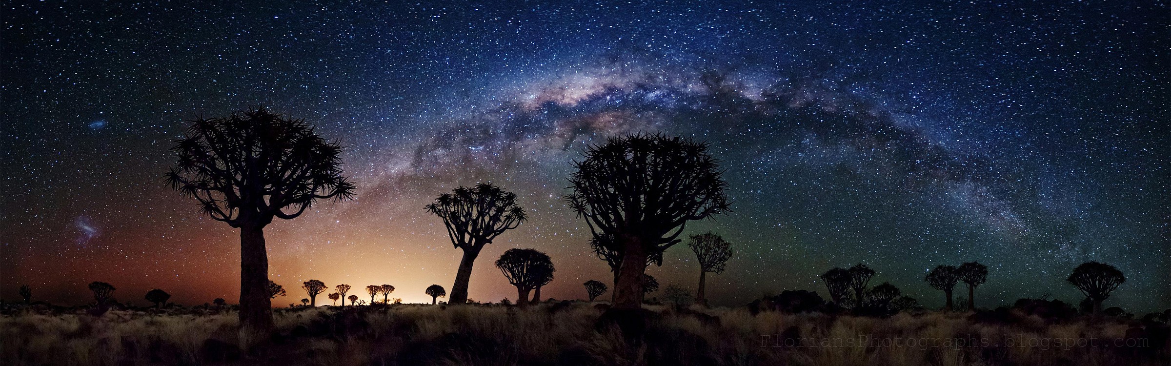 Alberi Faretra di notte 3