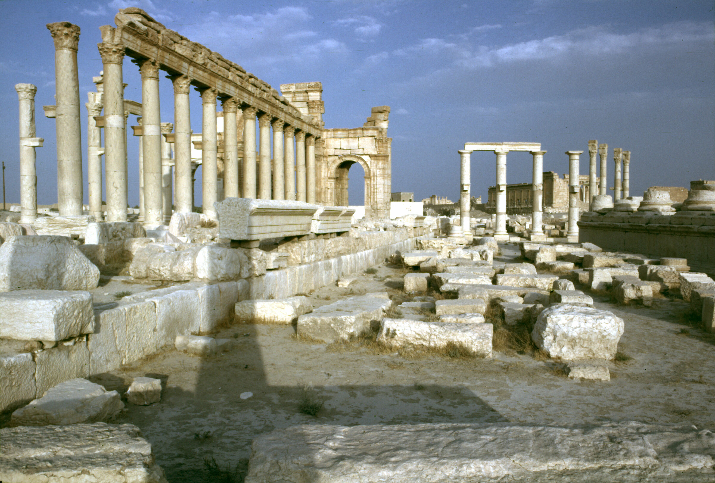 Palmyra