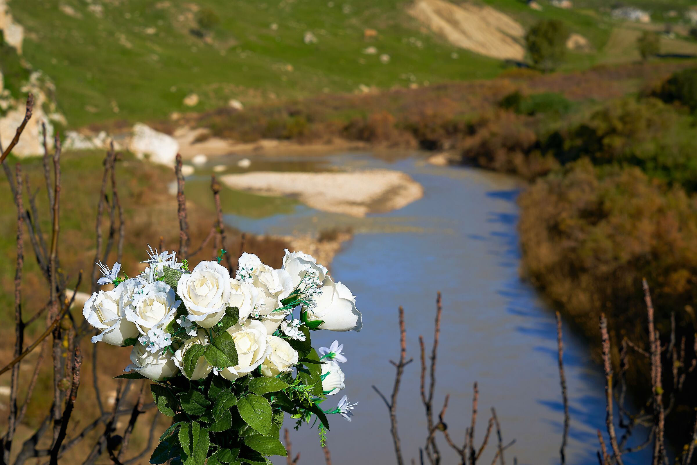 Valle dei Sicani: Natale 2019 Fiume Platani