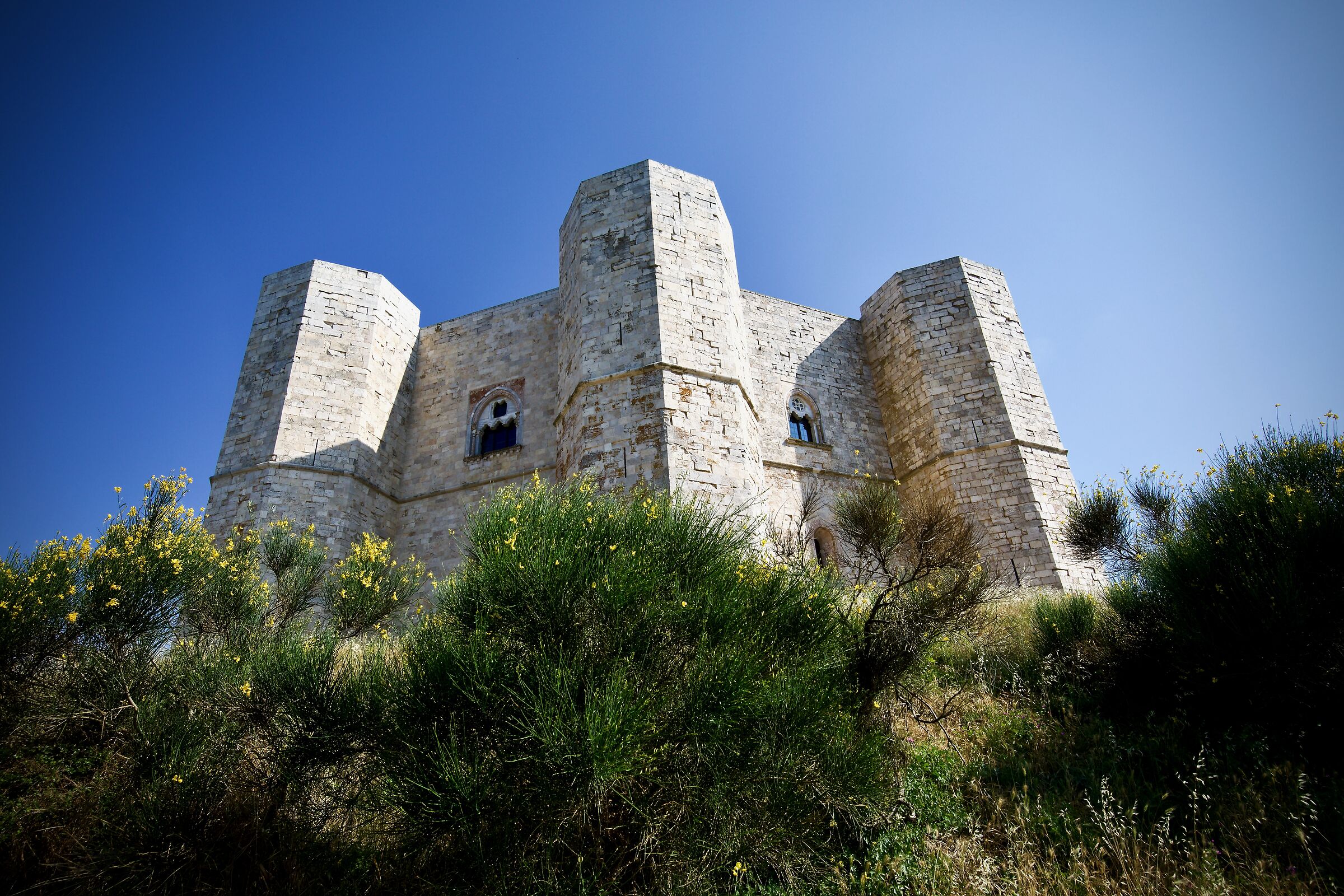 Casteldelmonte, North