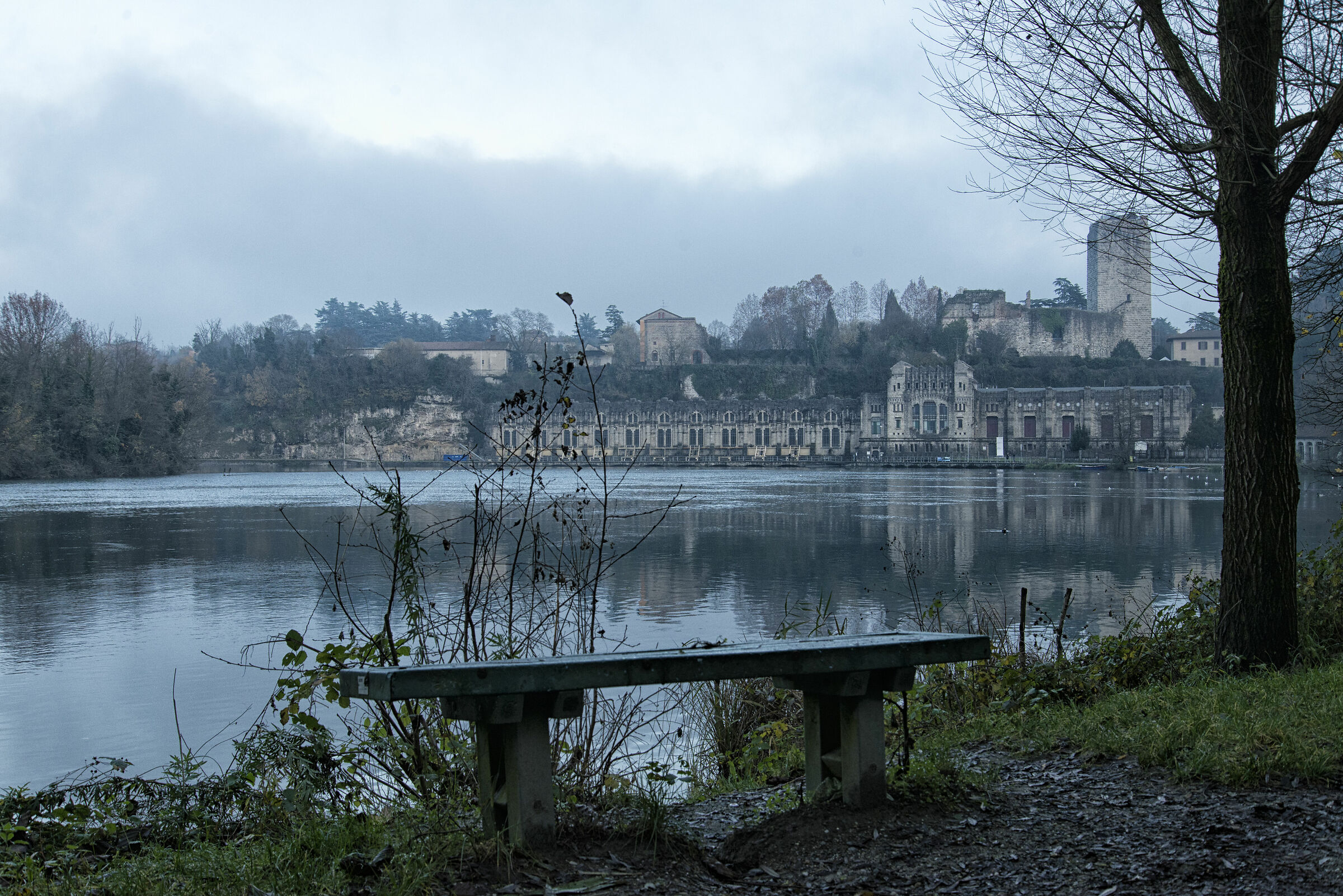 View of the 20th year