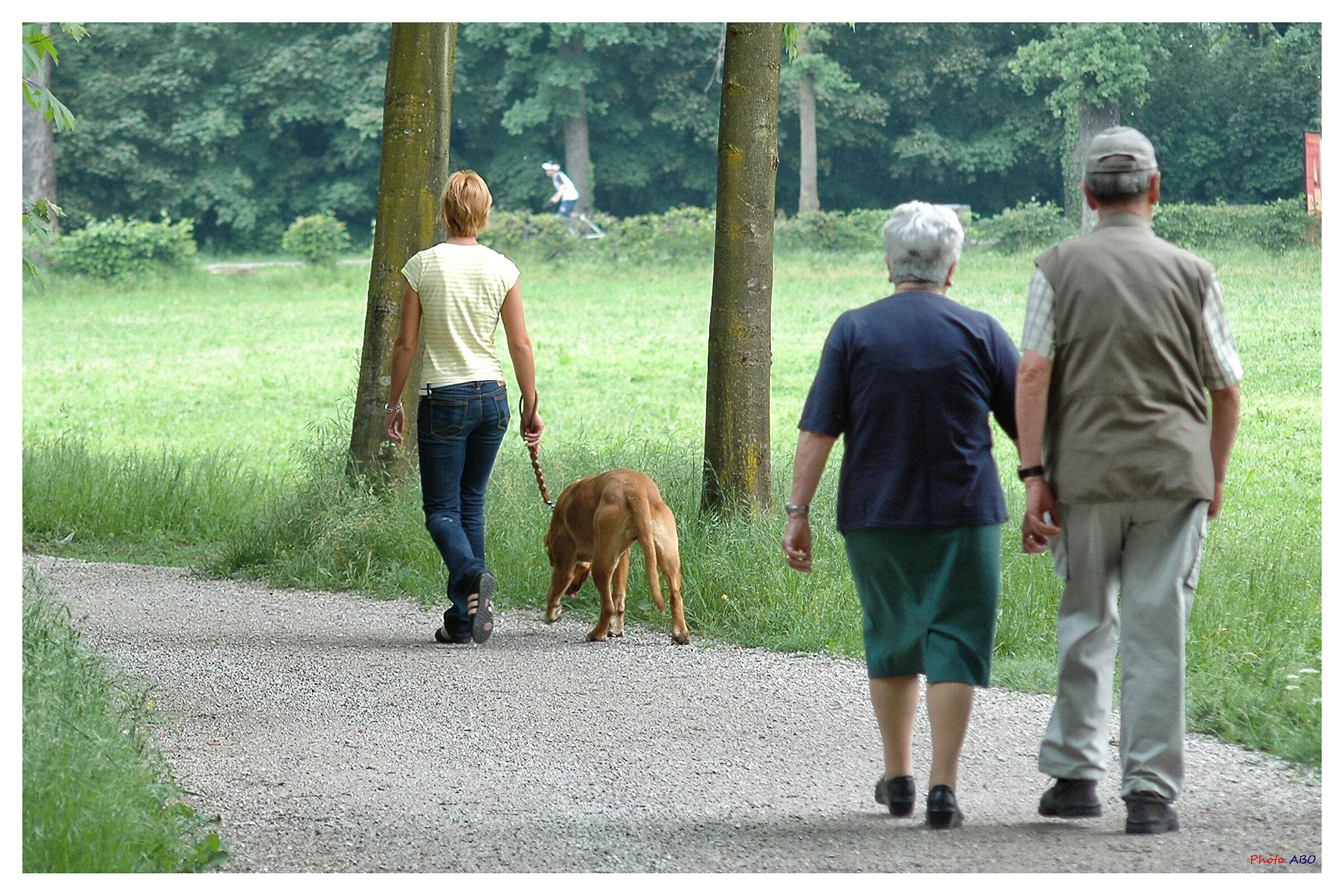 Passeggiando per il Parco