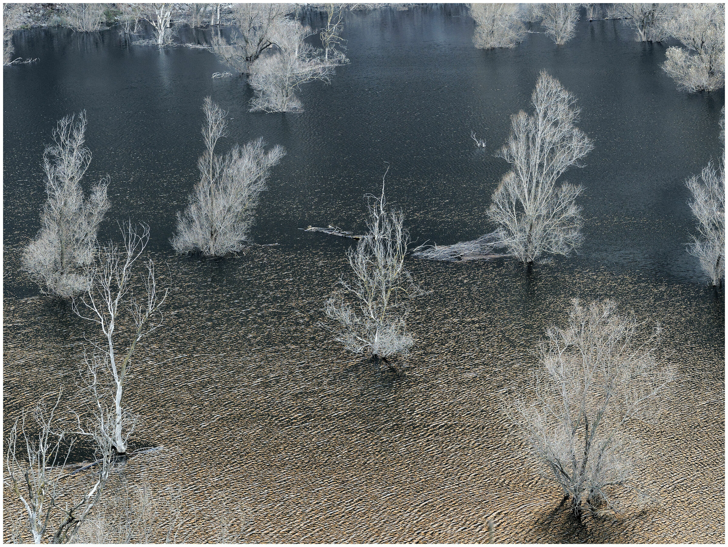 biotopo del lago di Loppio