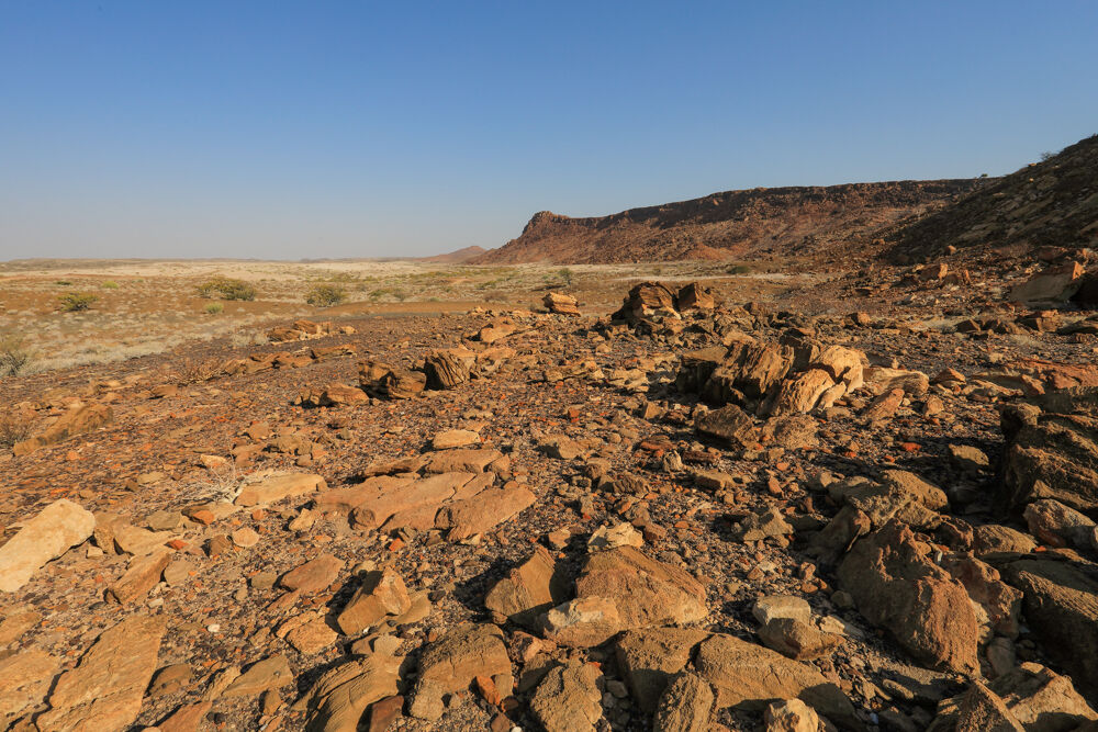 Near the Organ Reeds