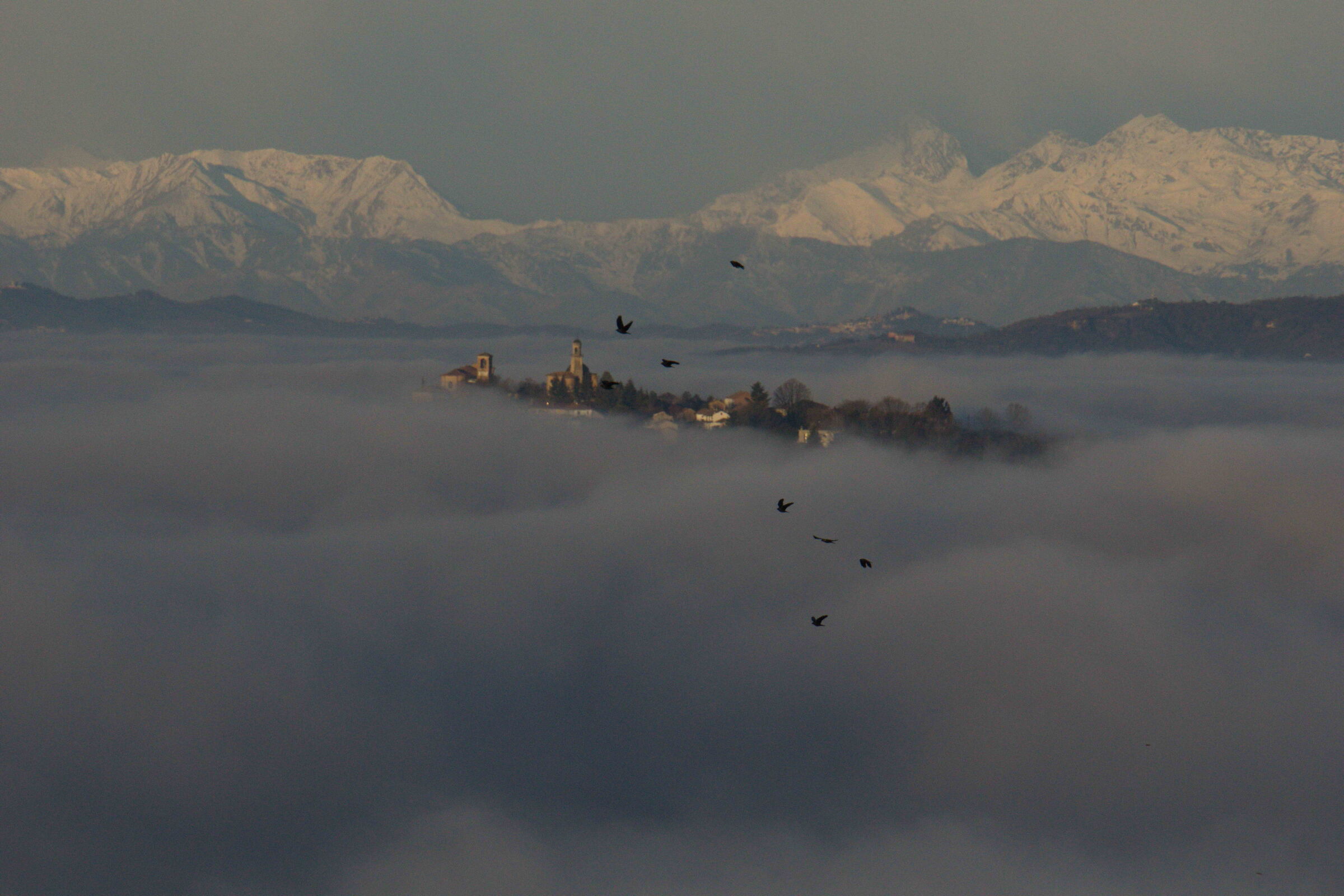 Nebbia nel monferrato