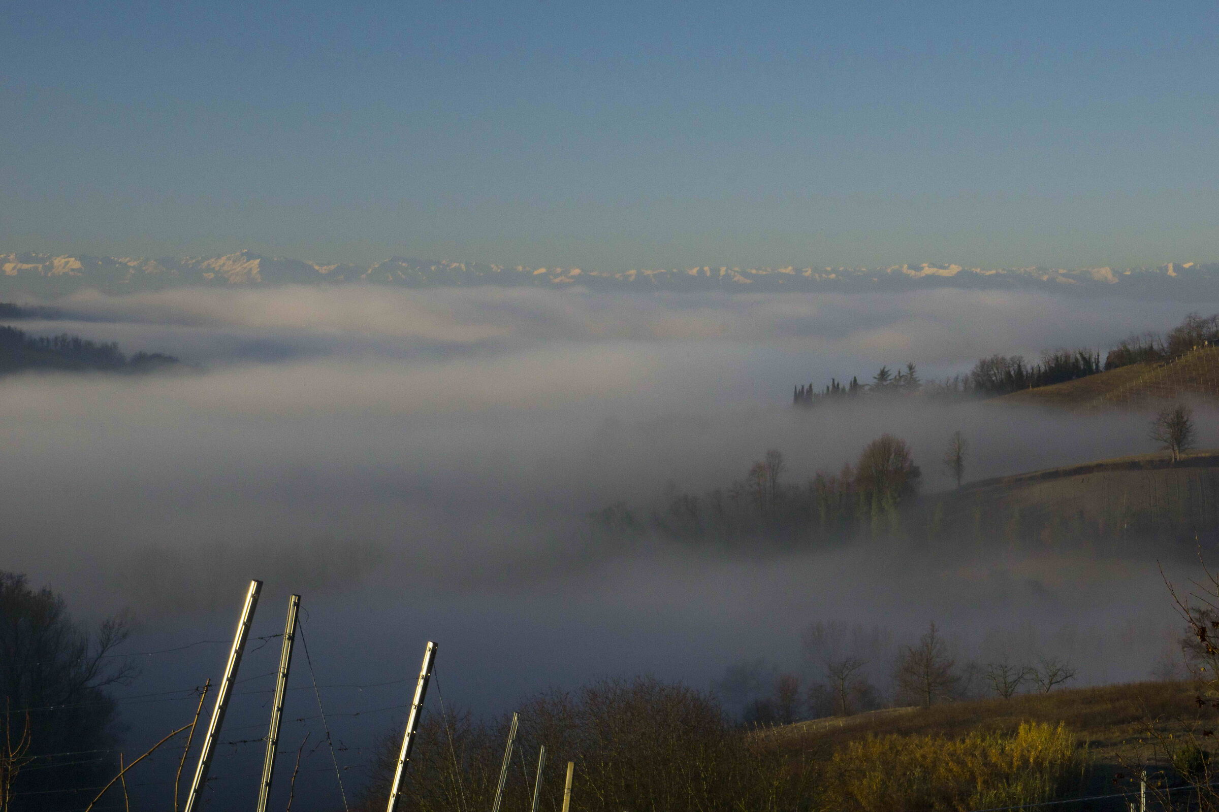 Vignale Monferrato nella nebbia