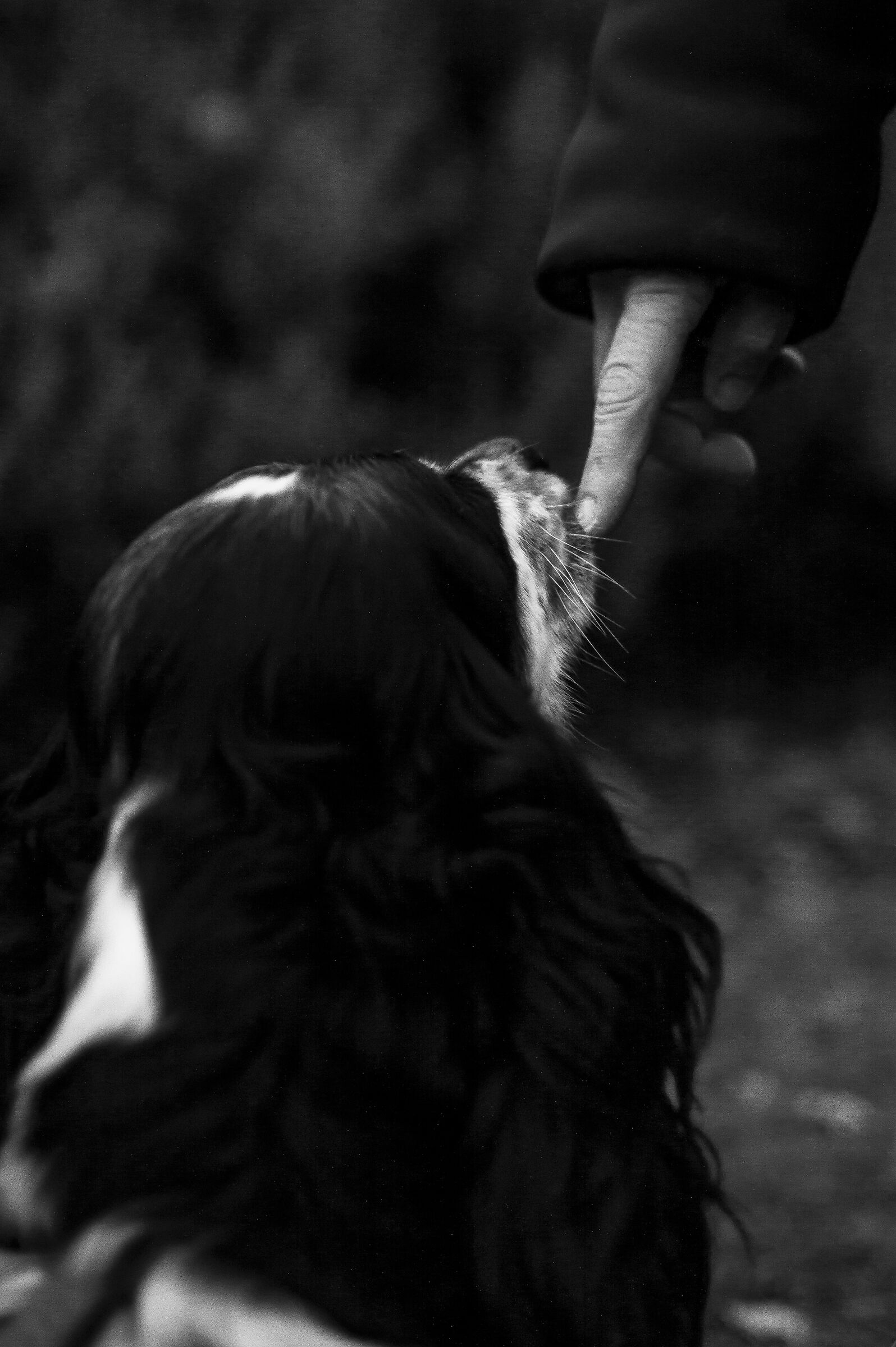 desire for tenderness