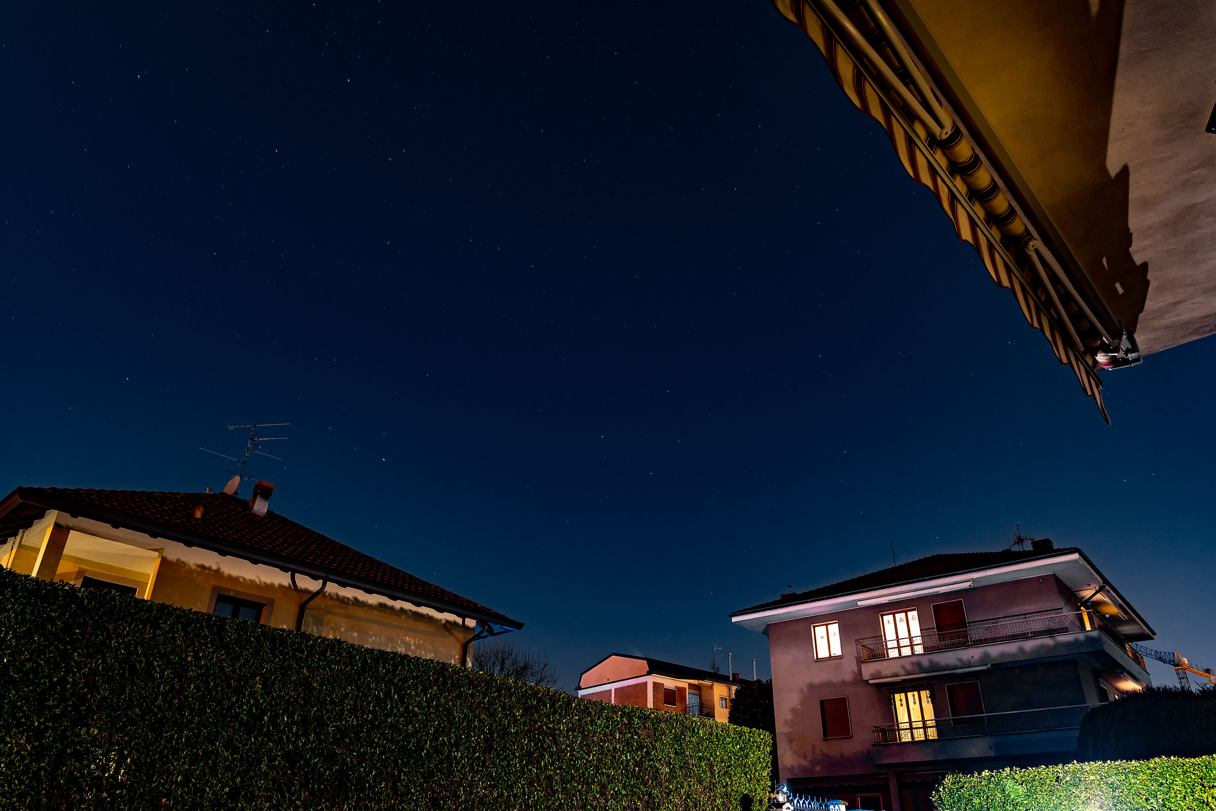 Untitled Photo