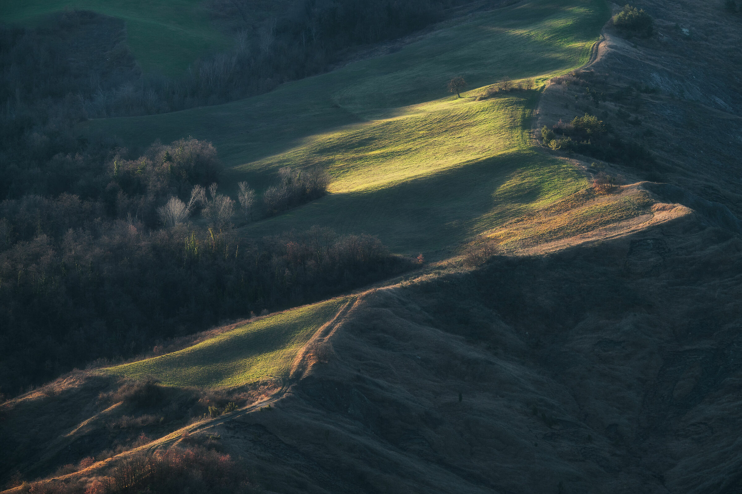 Reggiane Hills