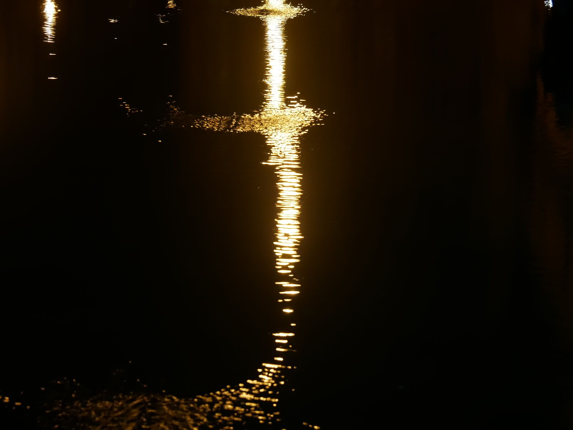 Christmas reflections