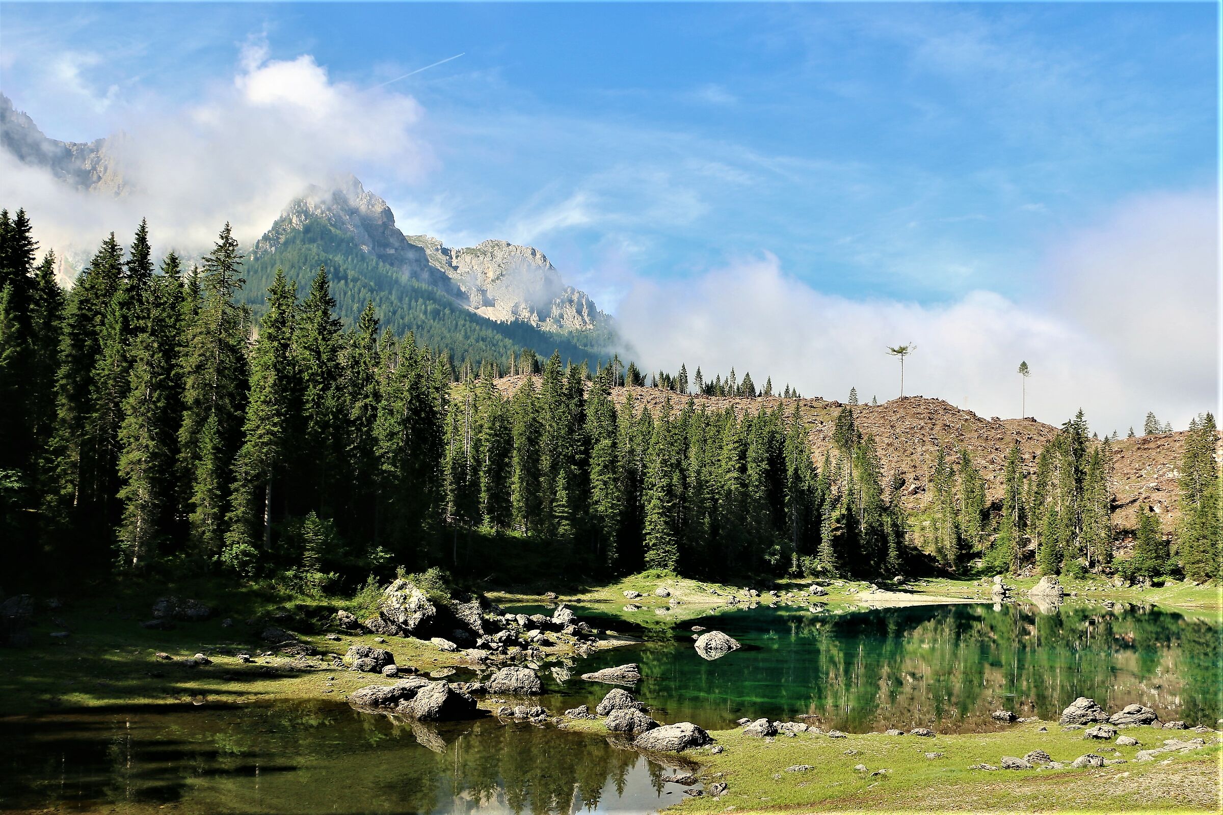 Non ci posso credere ............