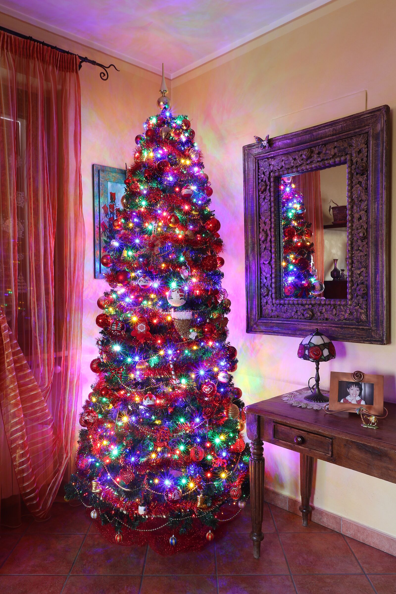 Christmas trees. My wife's passion.